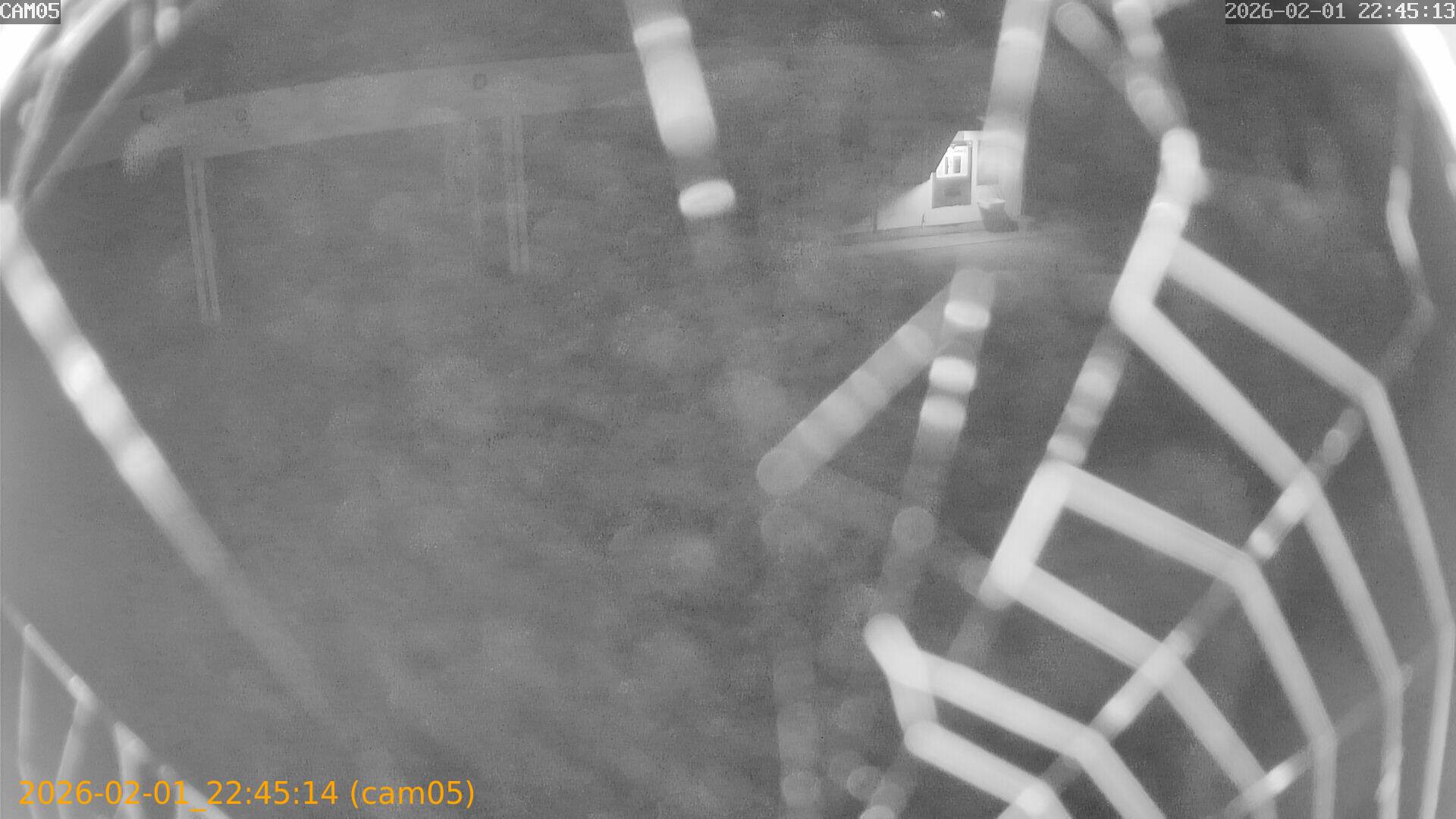 thumbnail_20260201224514