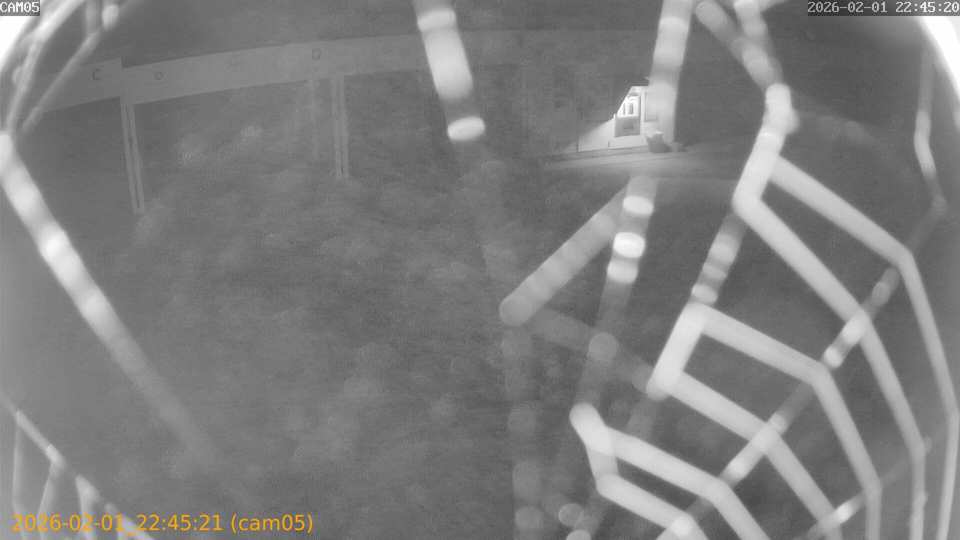 thumbnail_20260201224521