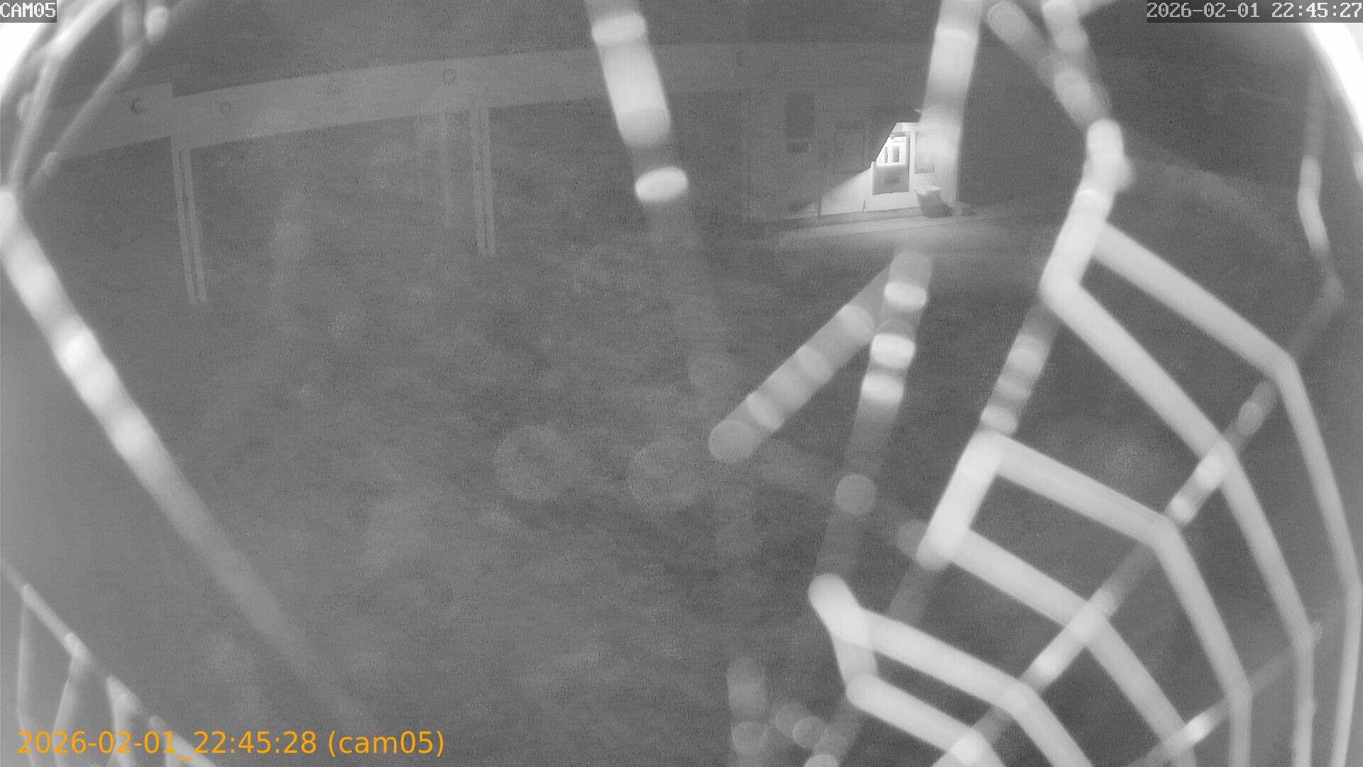 thumbnail_20260201224528