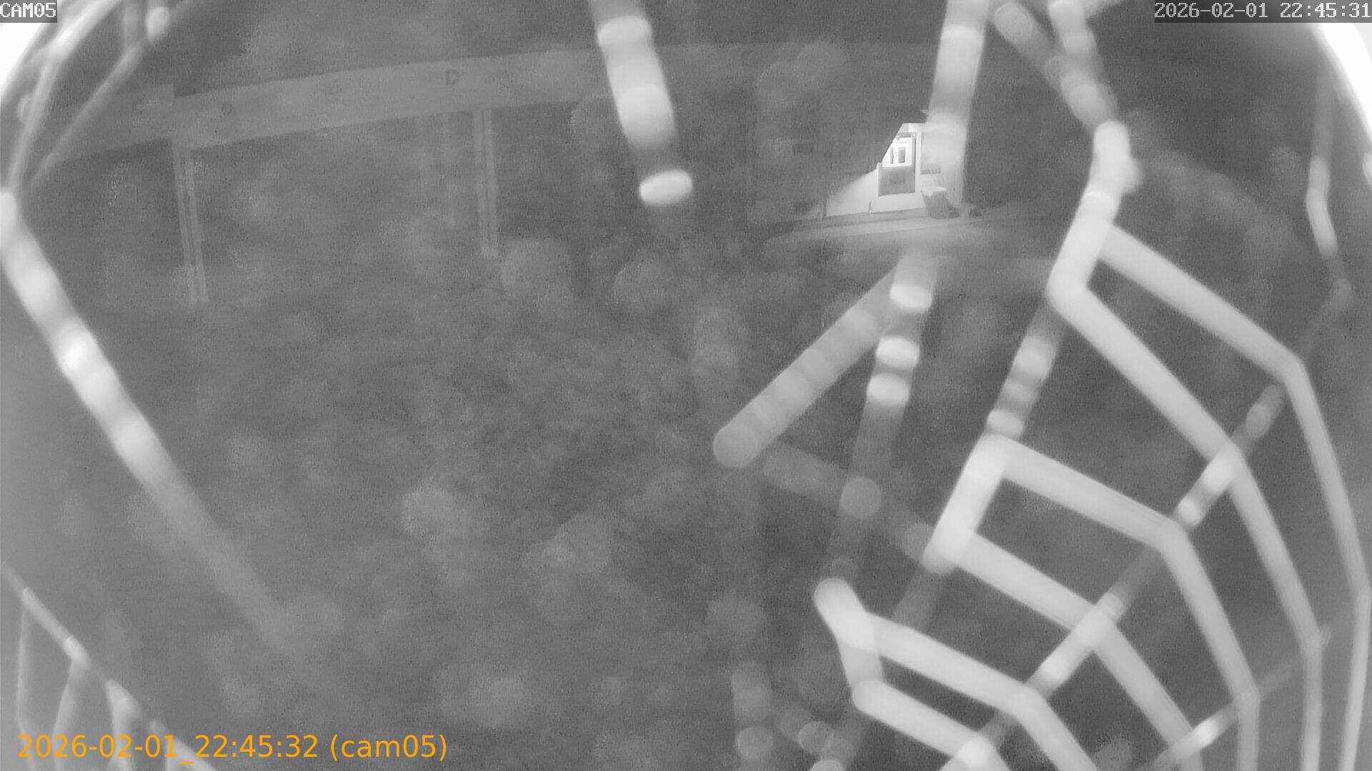 thumbnail_20260201224532