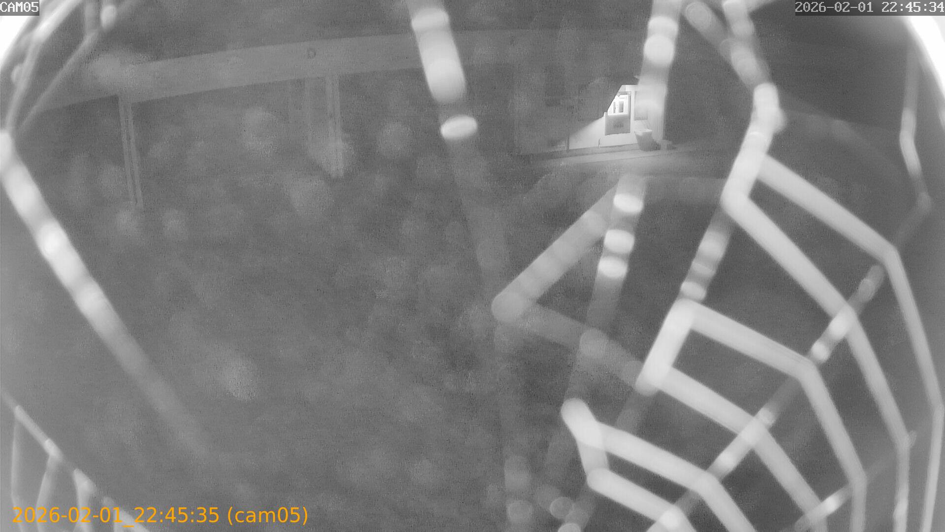 thumbnail_20260201224535