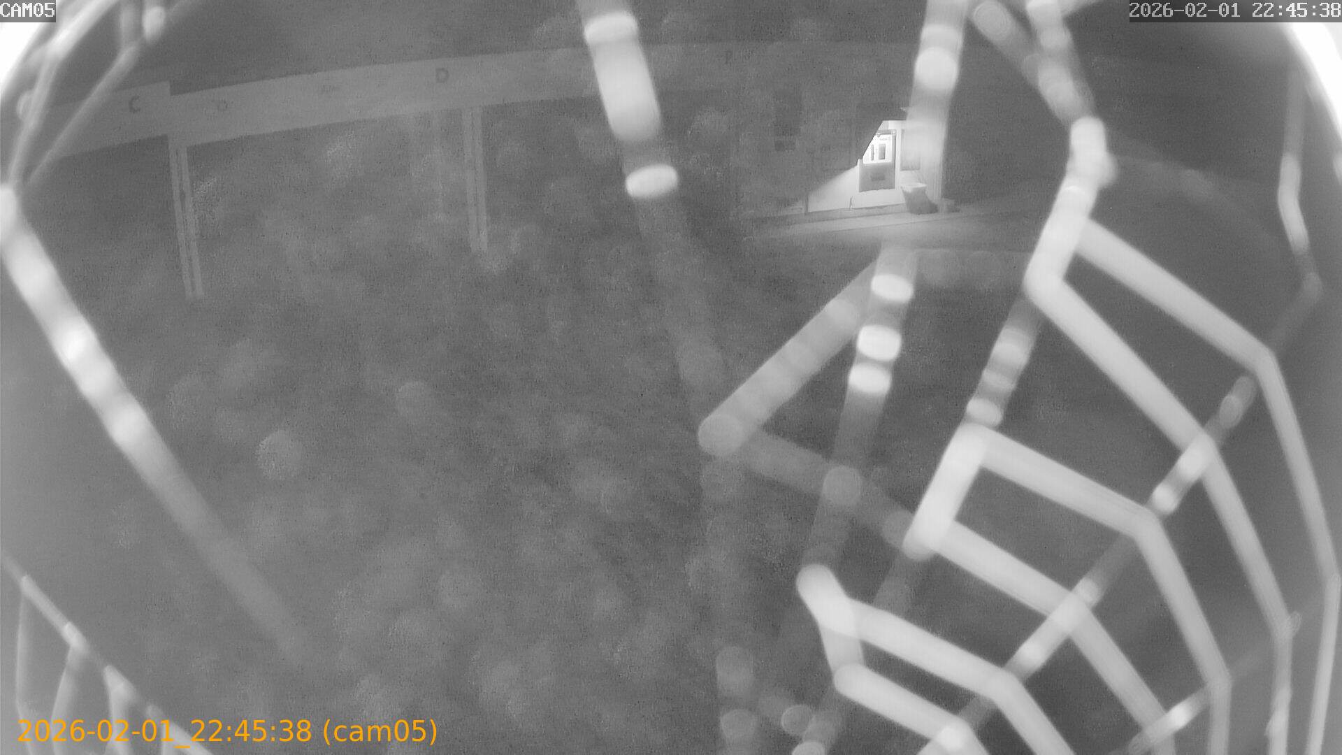 thumbnail_20260201224538