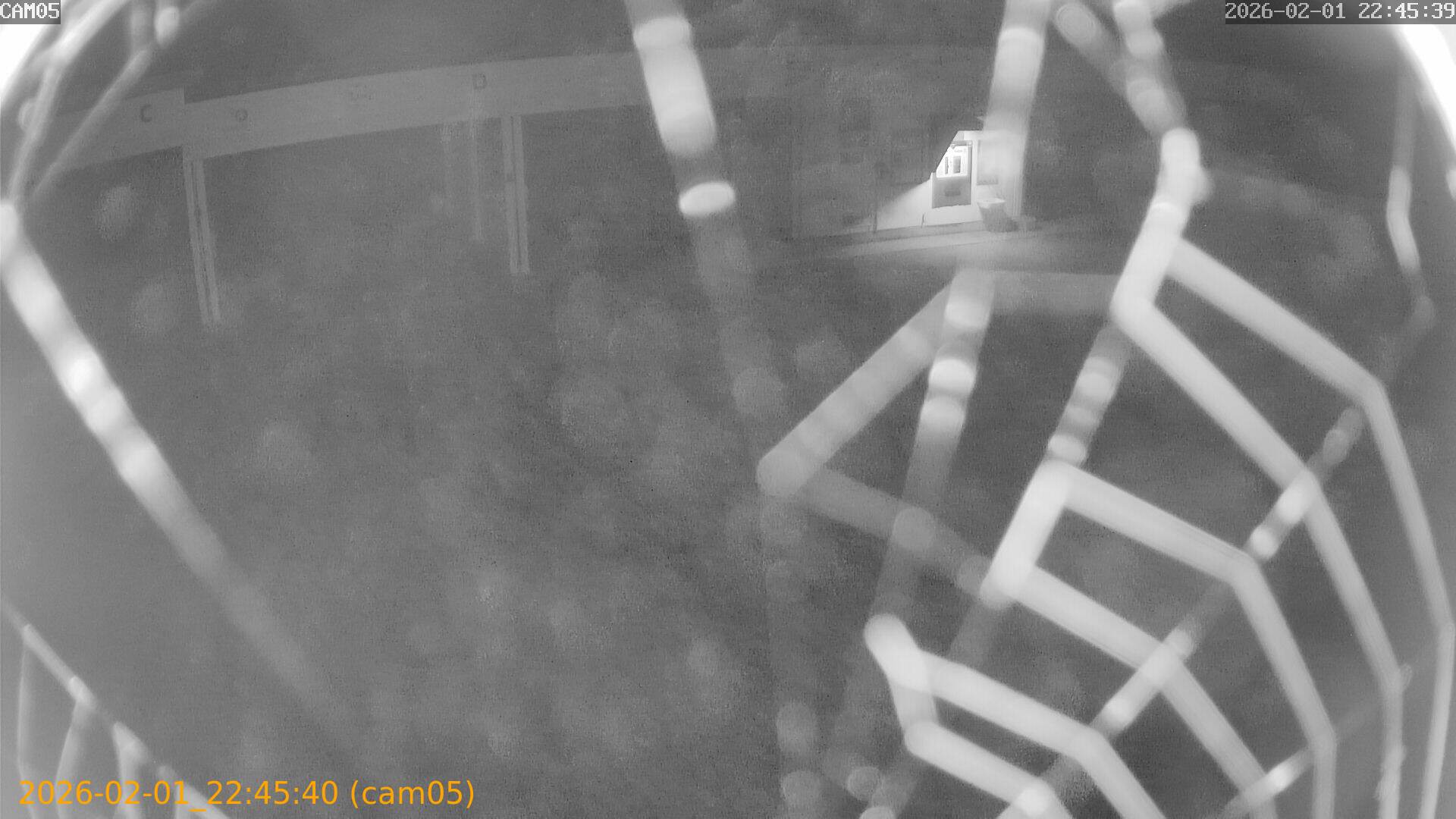 thumbnail_20260201224540