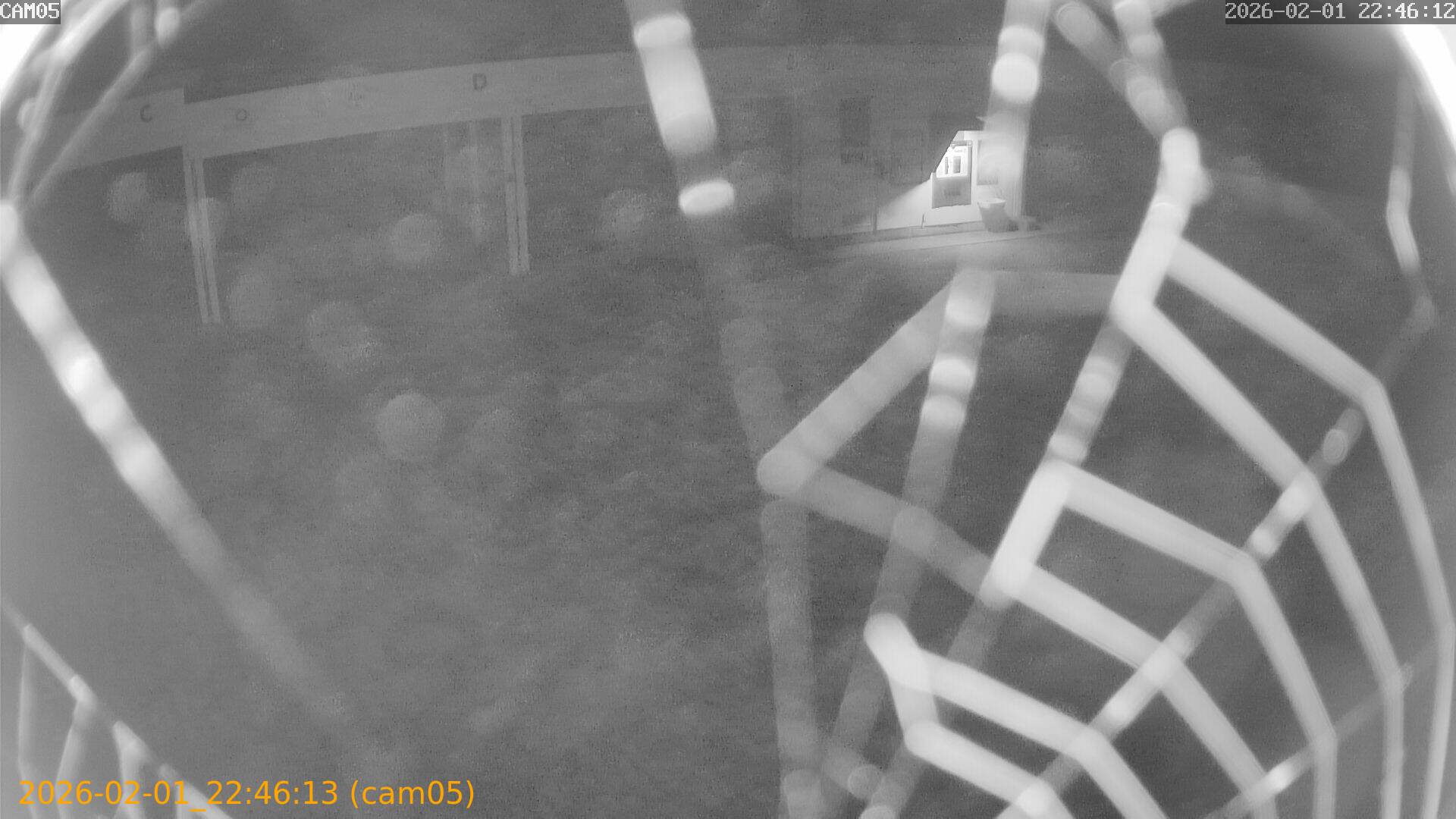 thumbnail_20260201224613