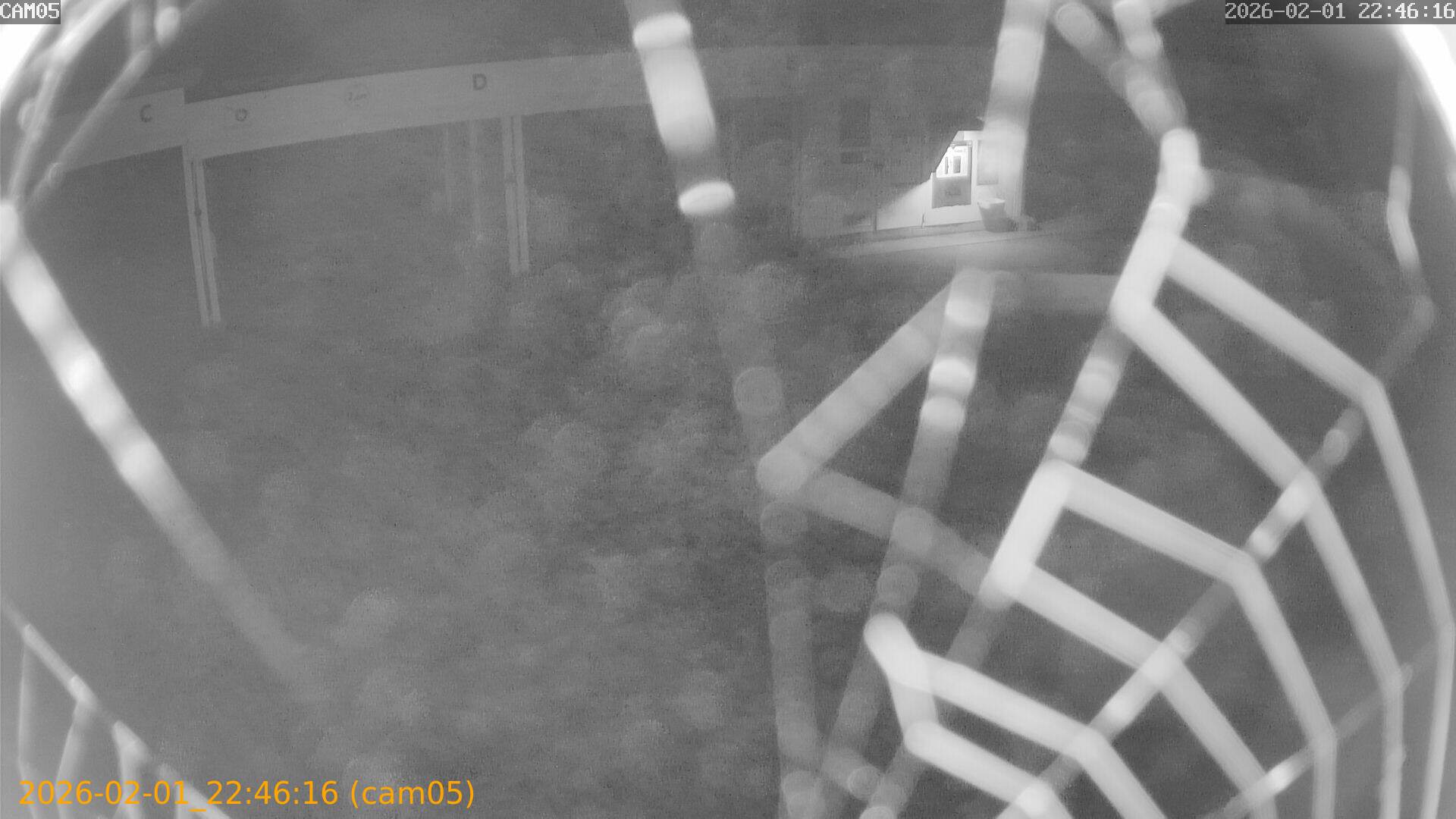 thumbnail_20260201224616