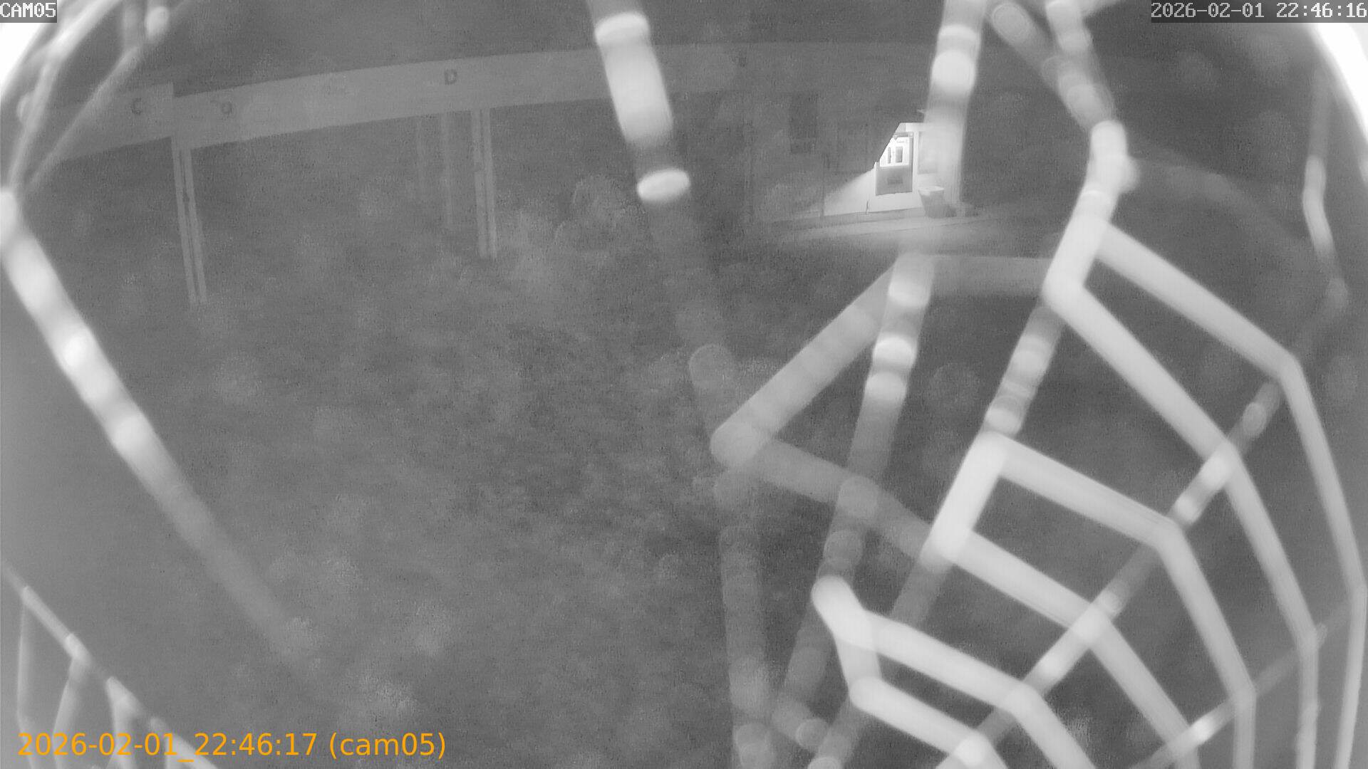 thumbnail_20260201224617