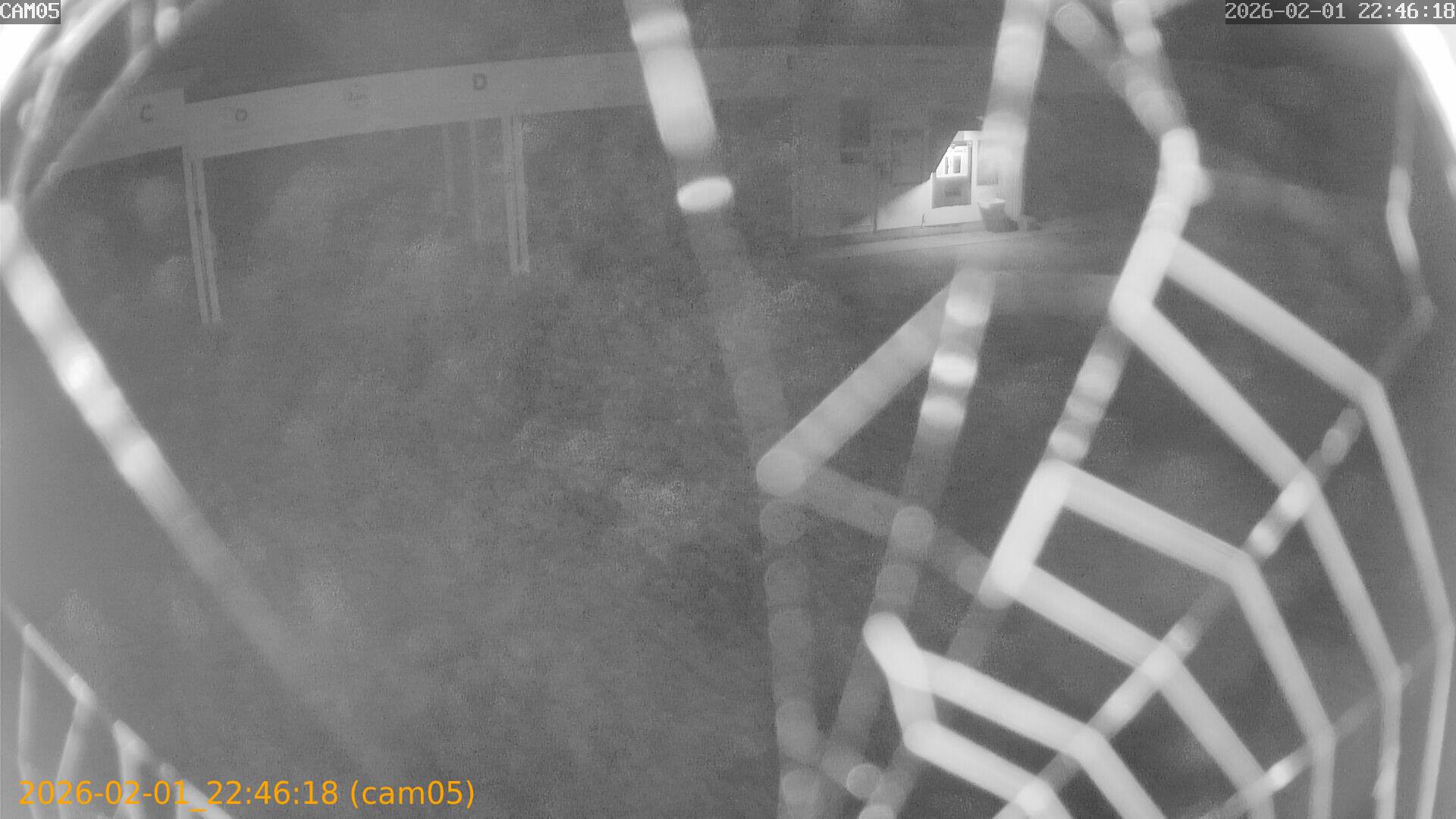 thumbnail_20260201224618