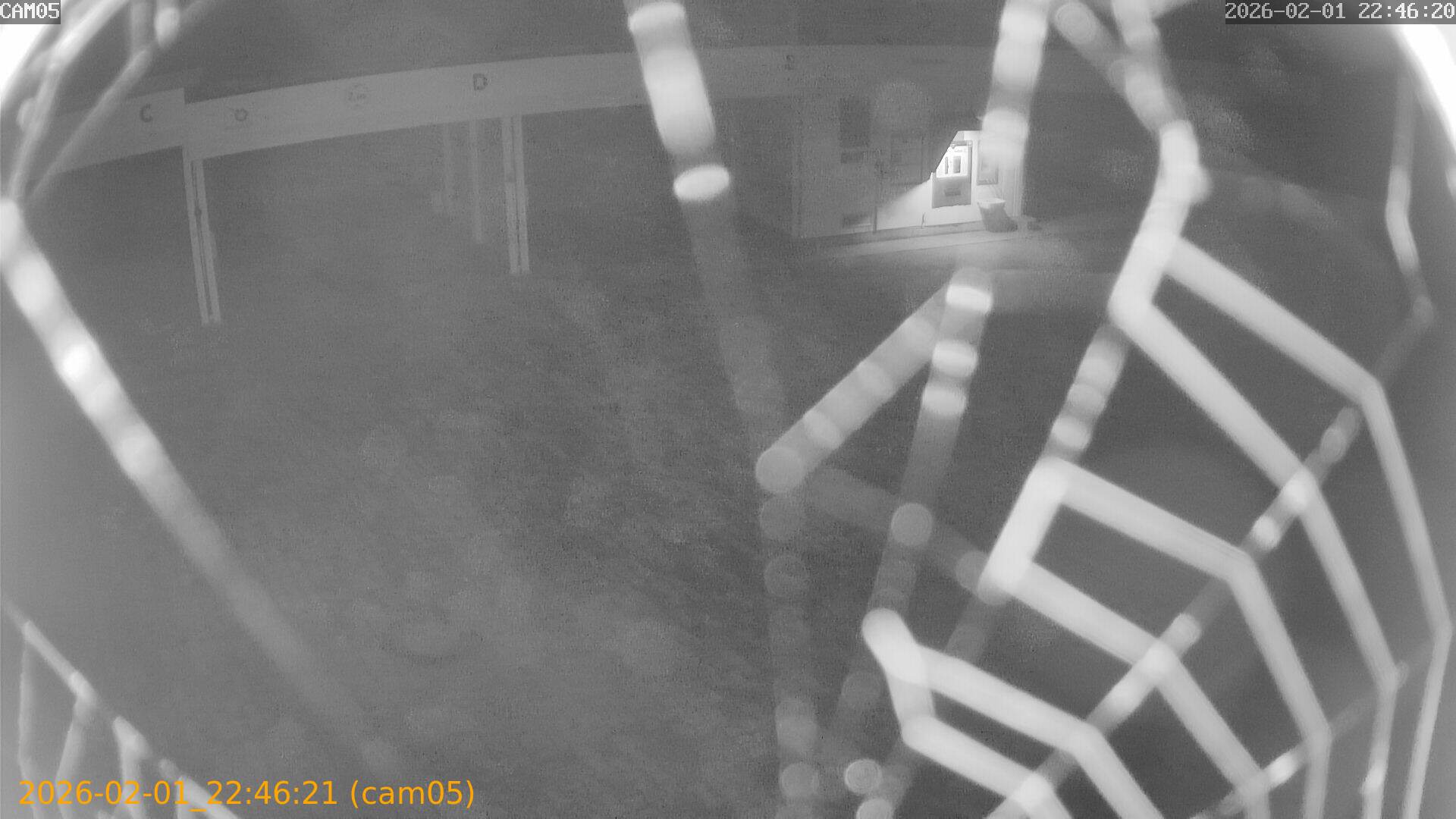 thumbnail_20260201224621