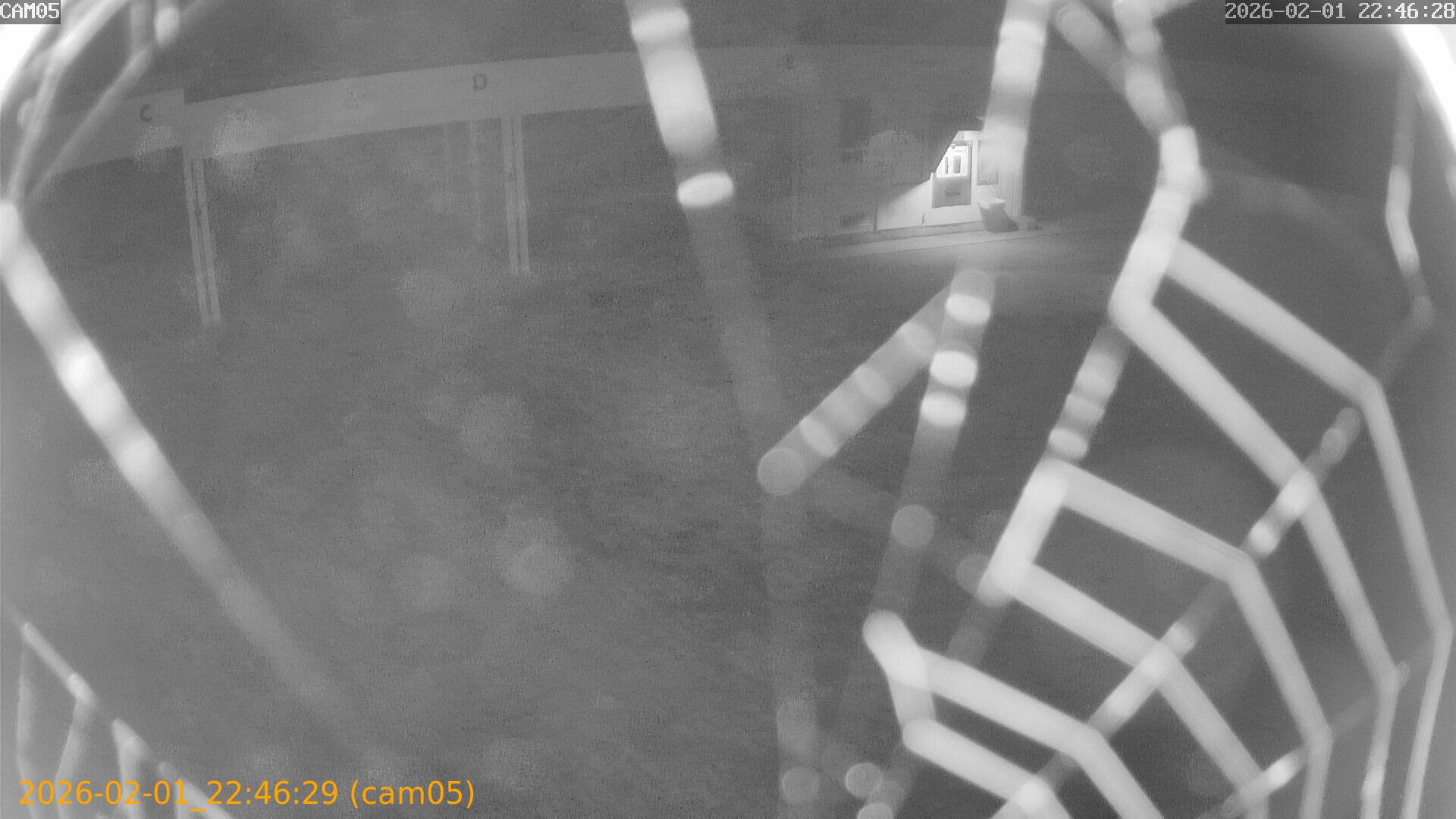 thumbnail_20260201224629