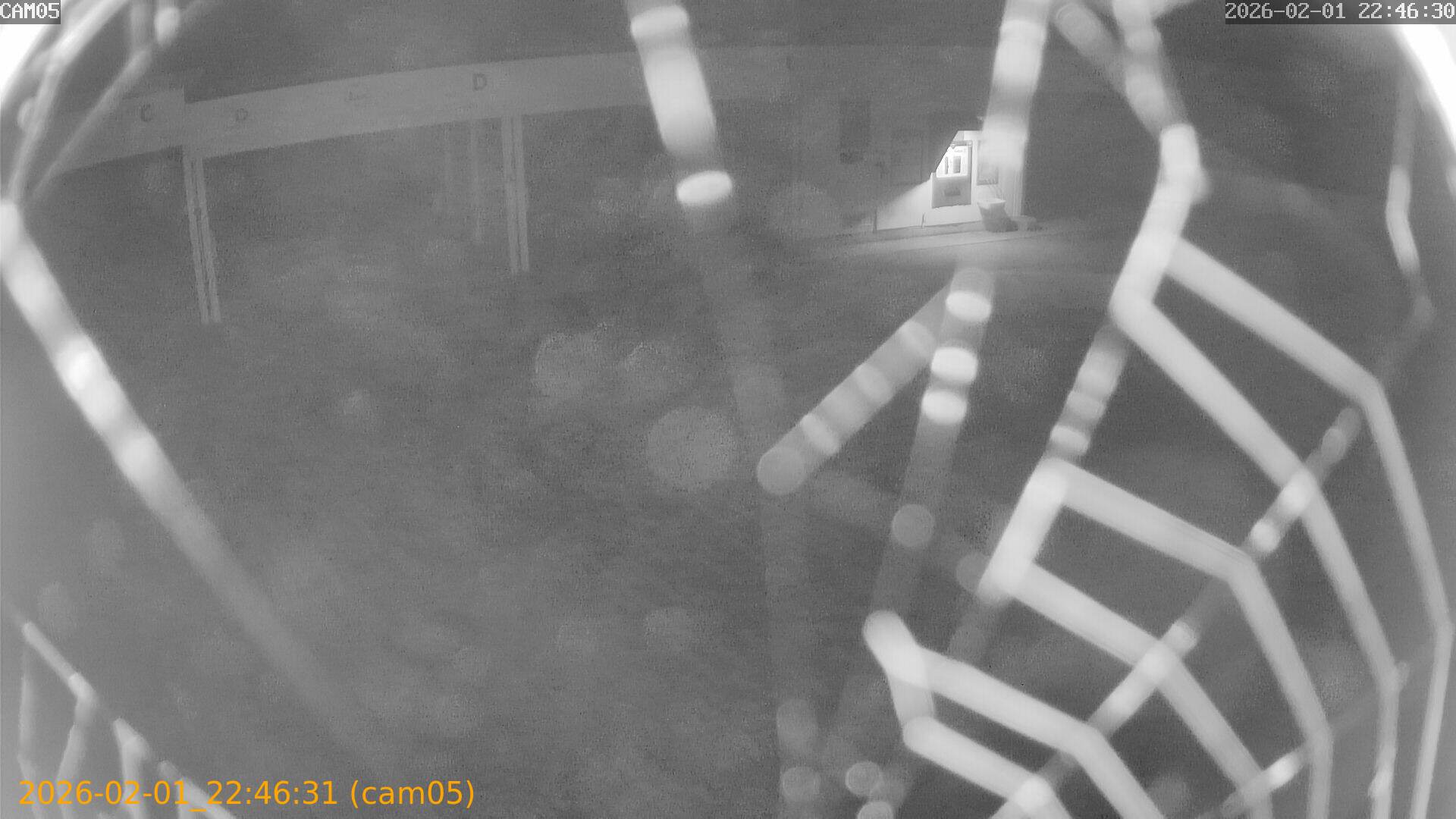 thumbnail_20260201224631