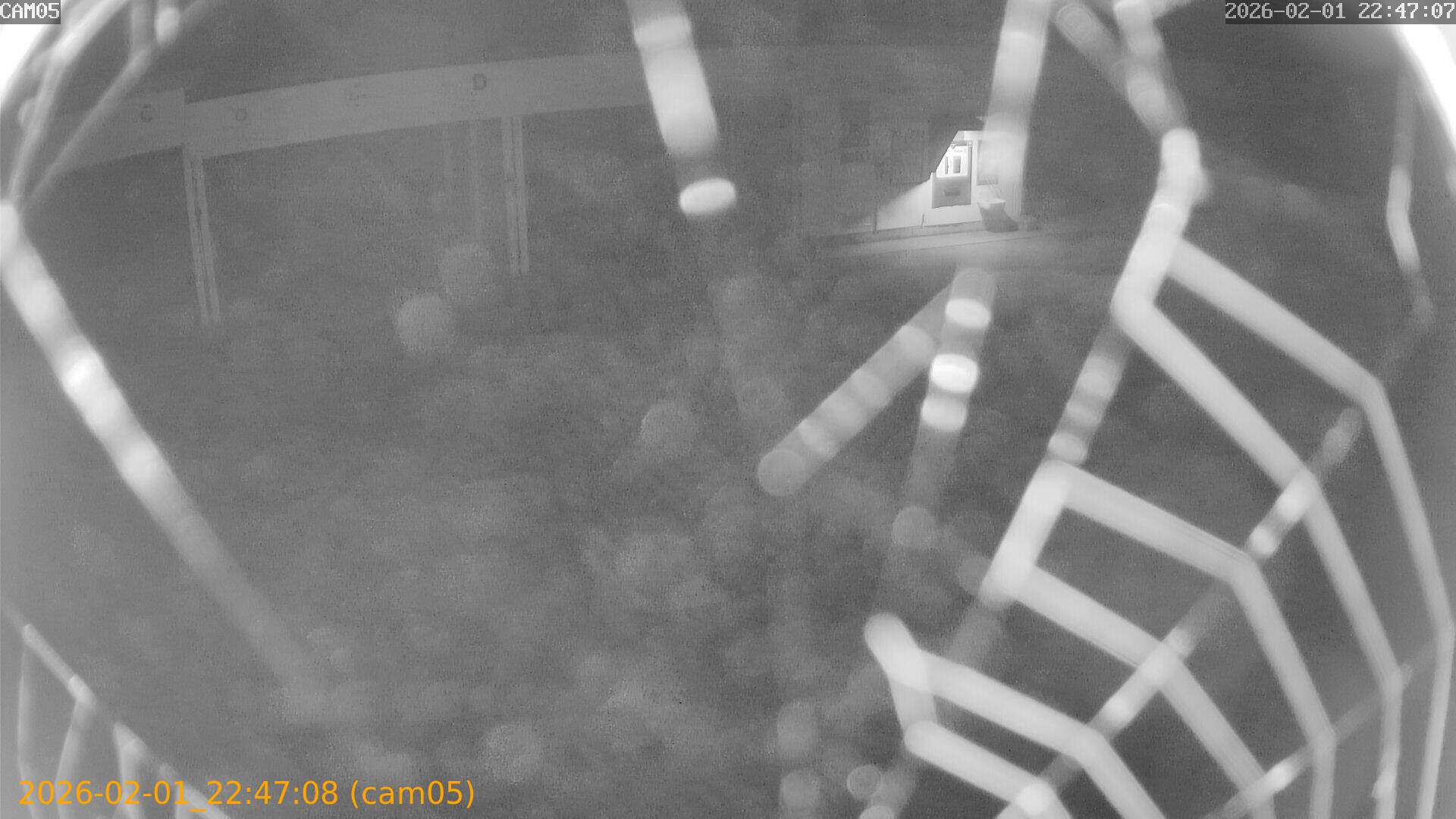 thumbnail_20260201224708