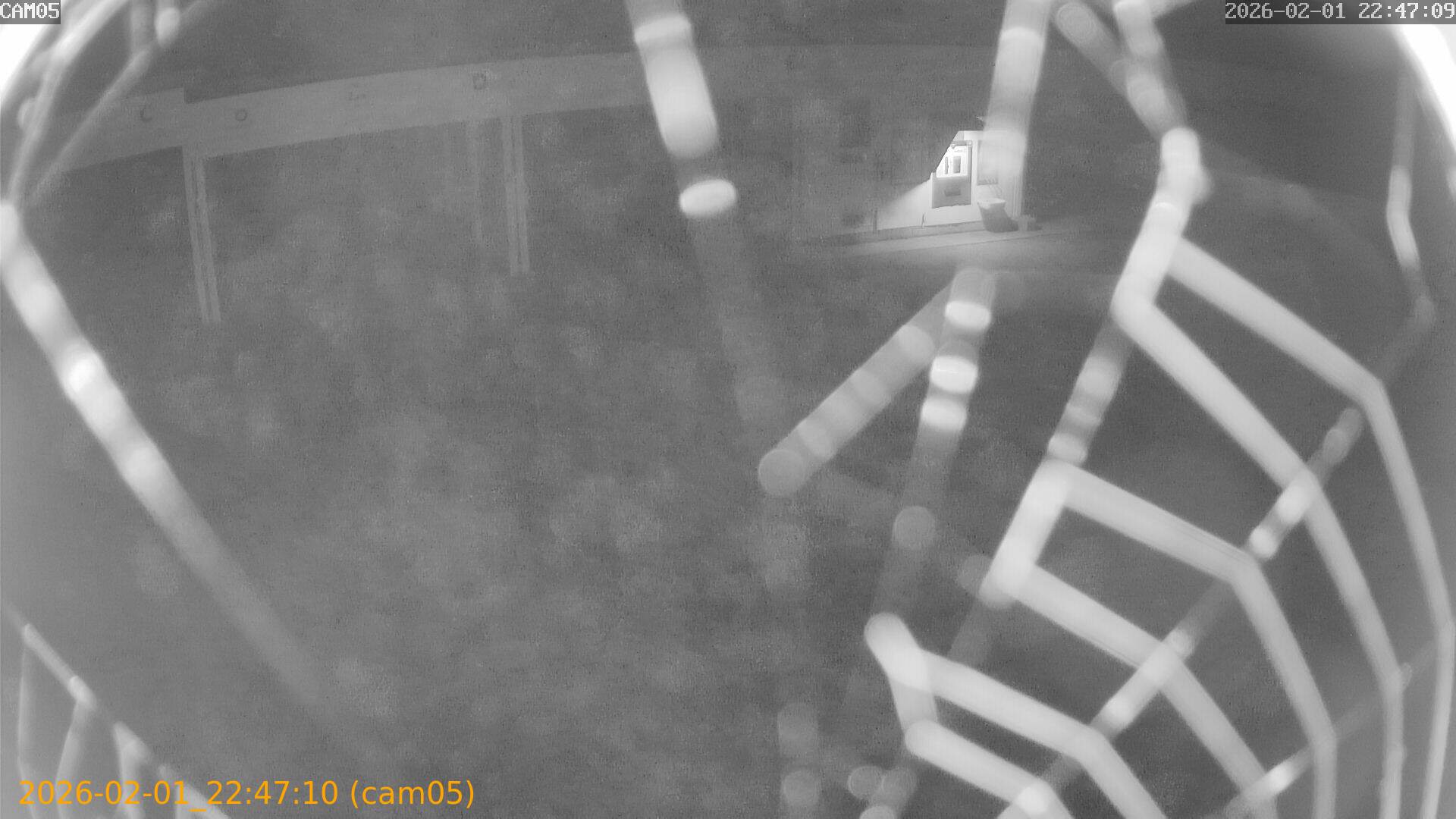 thumbnail_20260201224710