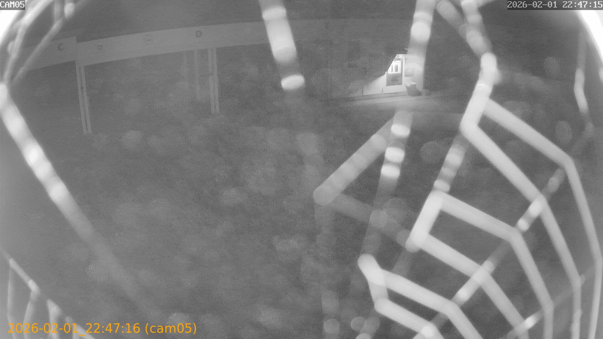 thumbnail_20260201224716