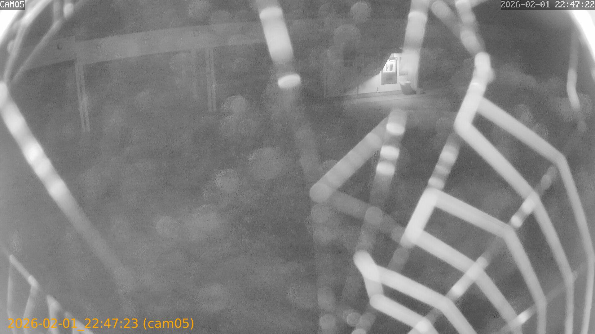 thumbnail_20260201224723