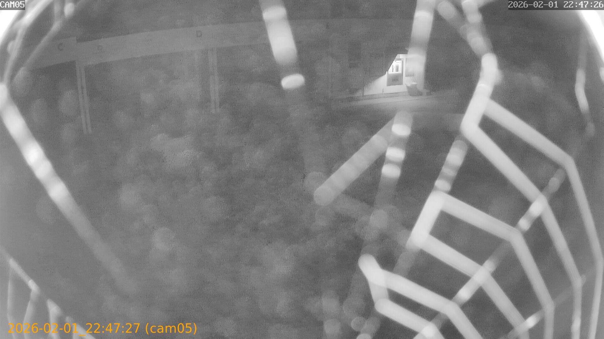 thumbnail_20260201224727