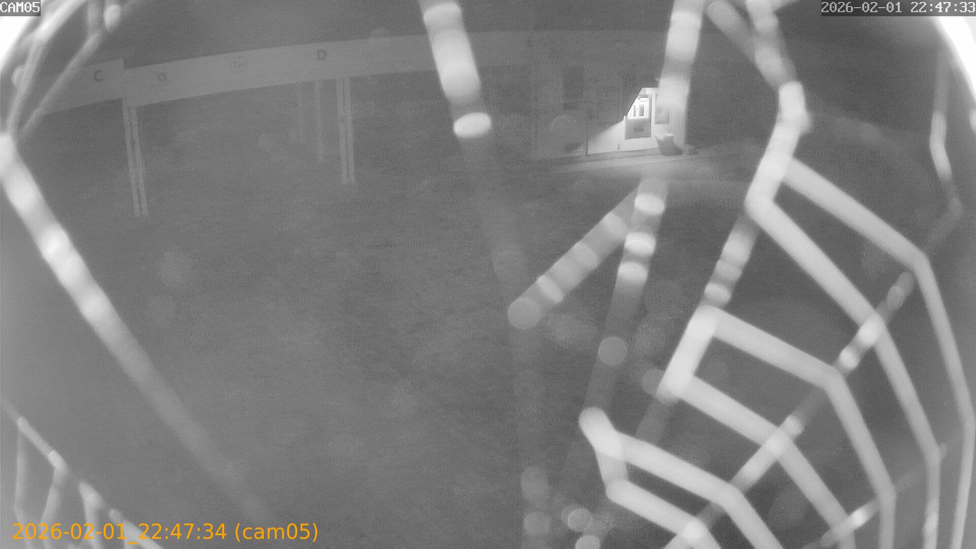 thumbnail_20260201224734