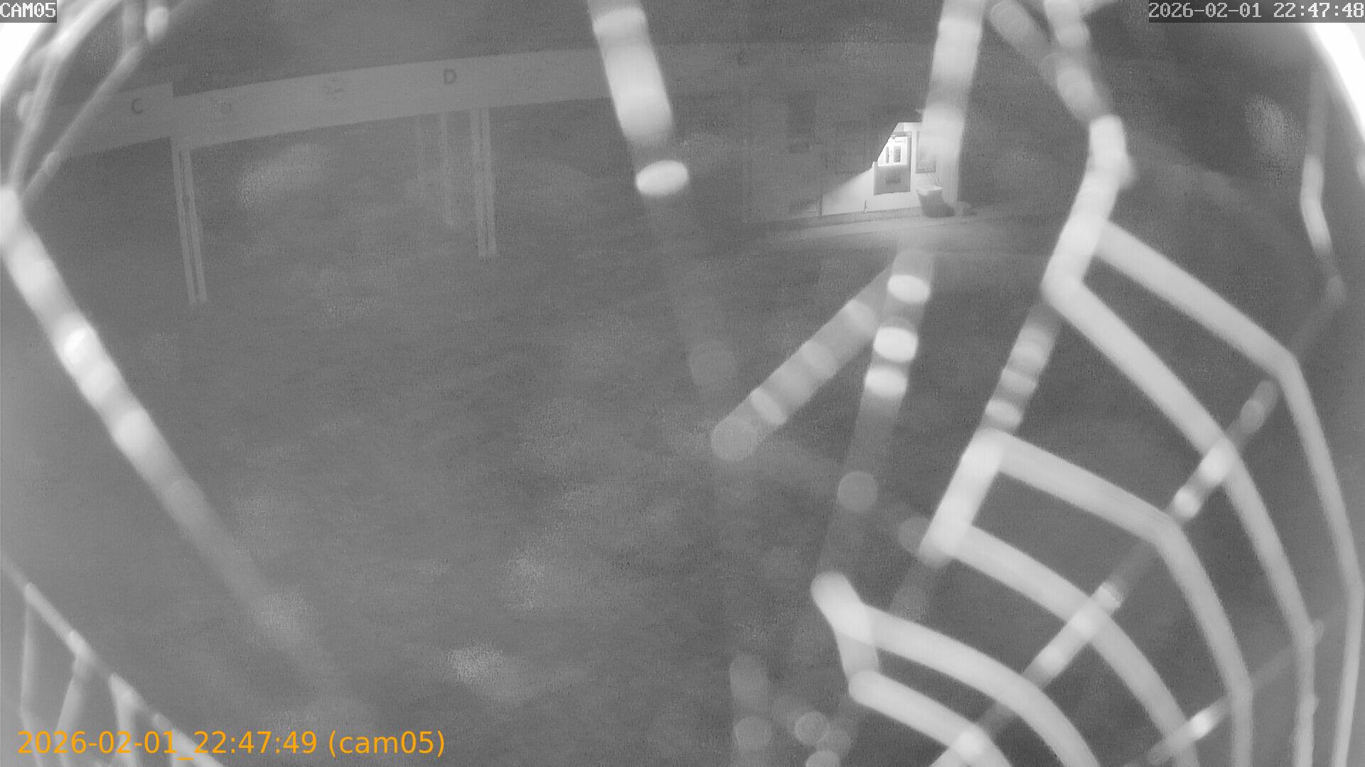 thumbnail_20260201224749