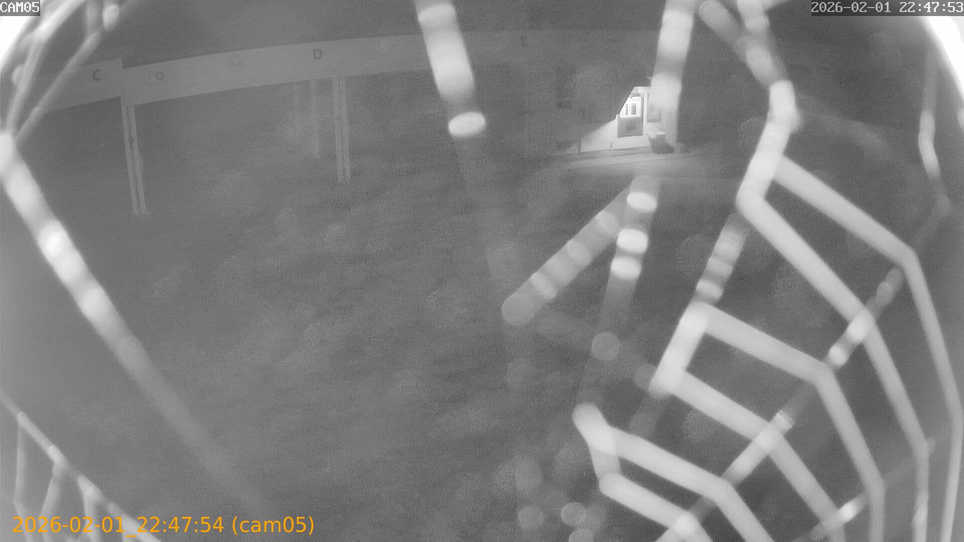 thumbnail_20260201224754