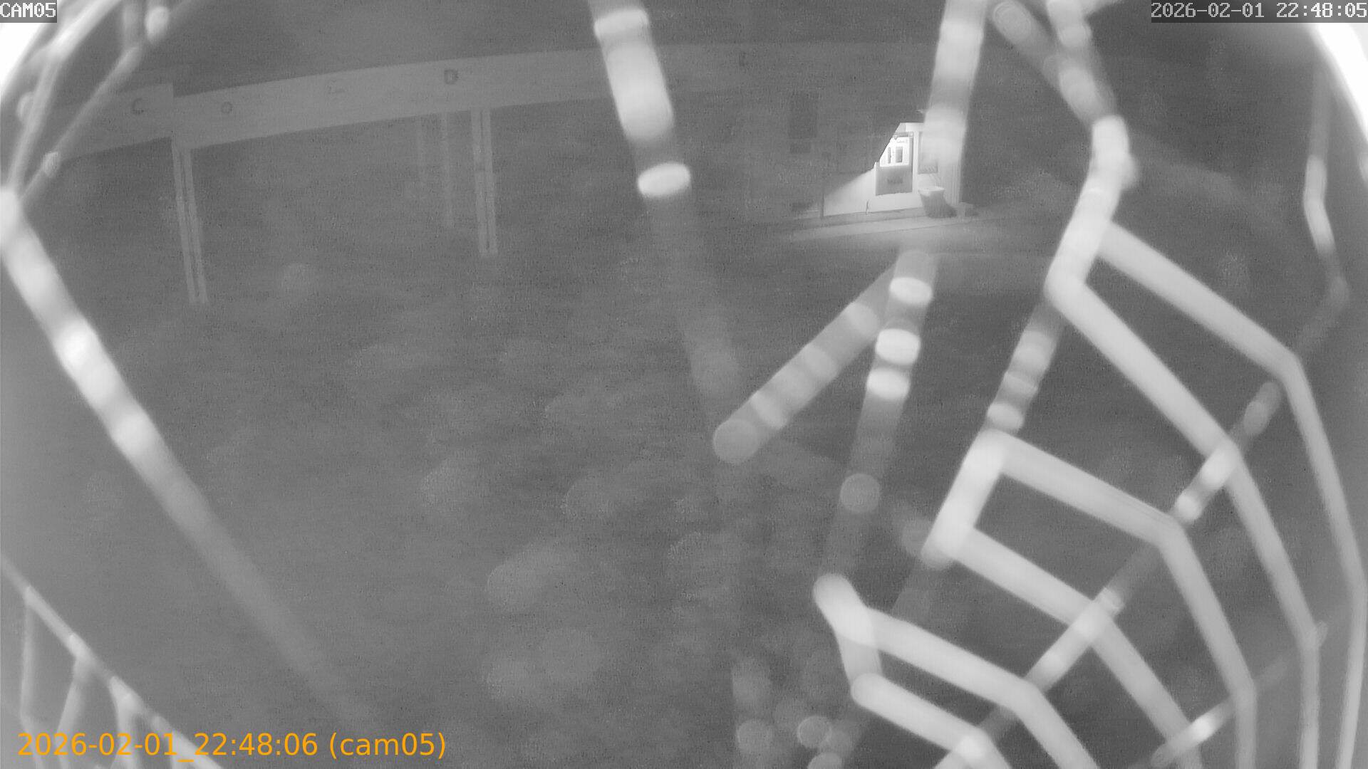 thumbnail_20260201224806