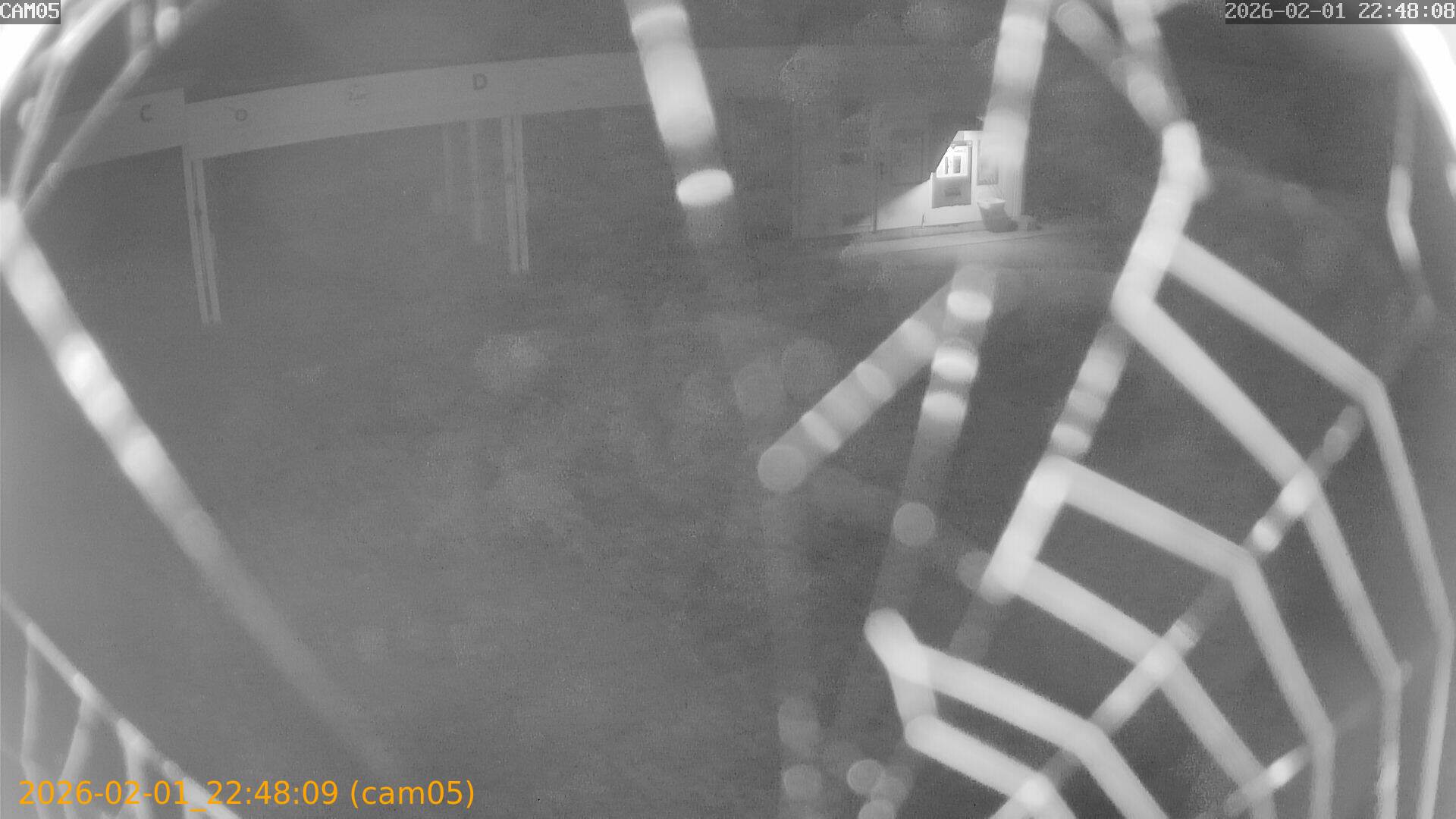 thumbnail_20260201224809