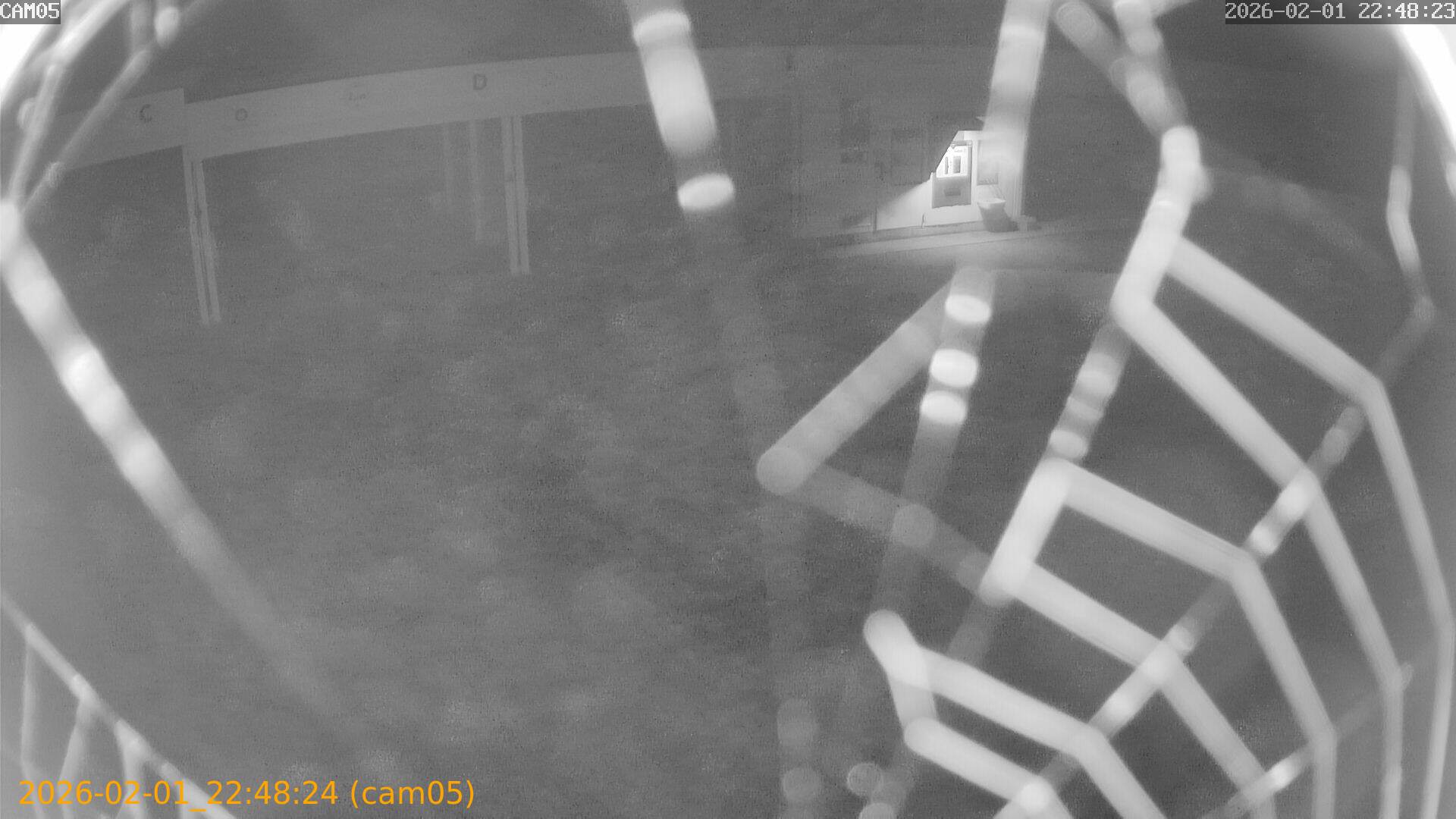 thumbnail_20260201224824