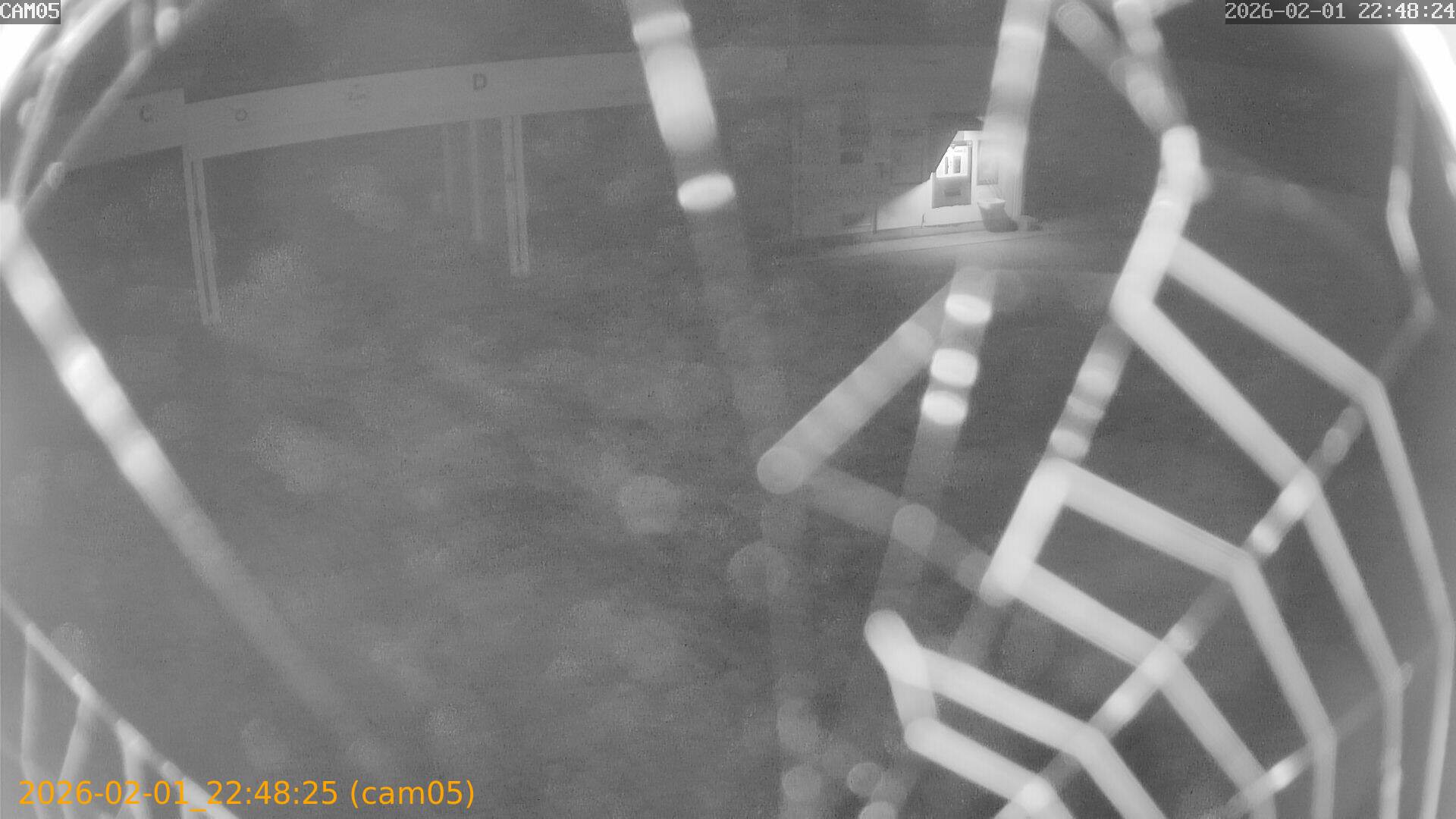 thumbnail_20260201224825