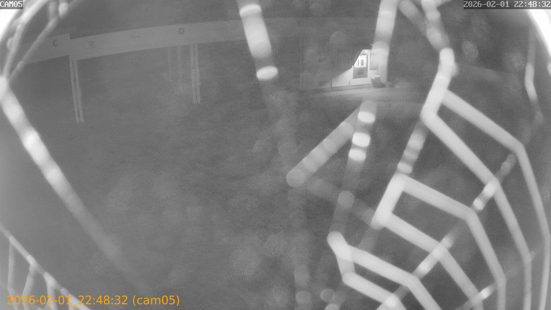 thumbnail_20260201224832