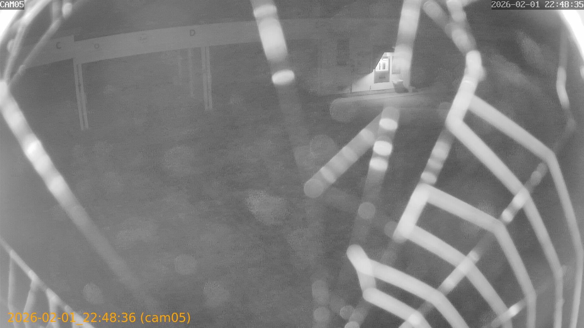 thumbnail_20260201224836