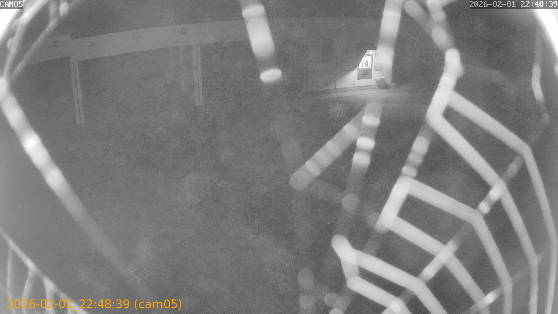 thumbnail_20260201224839