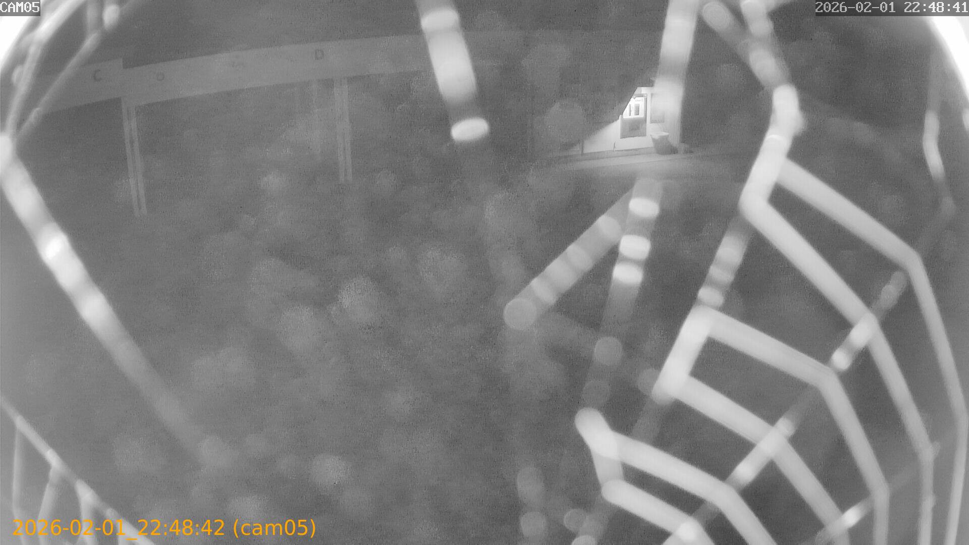 thumbnail_20260201224842