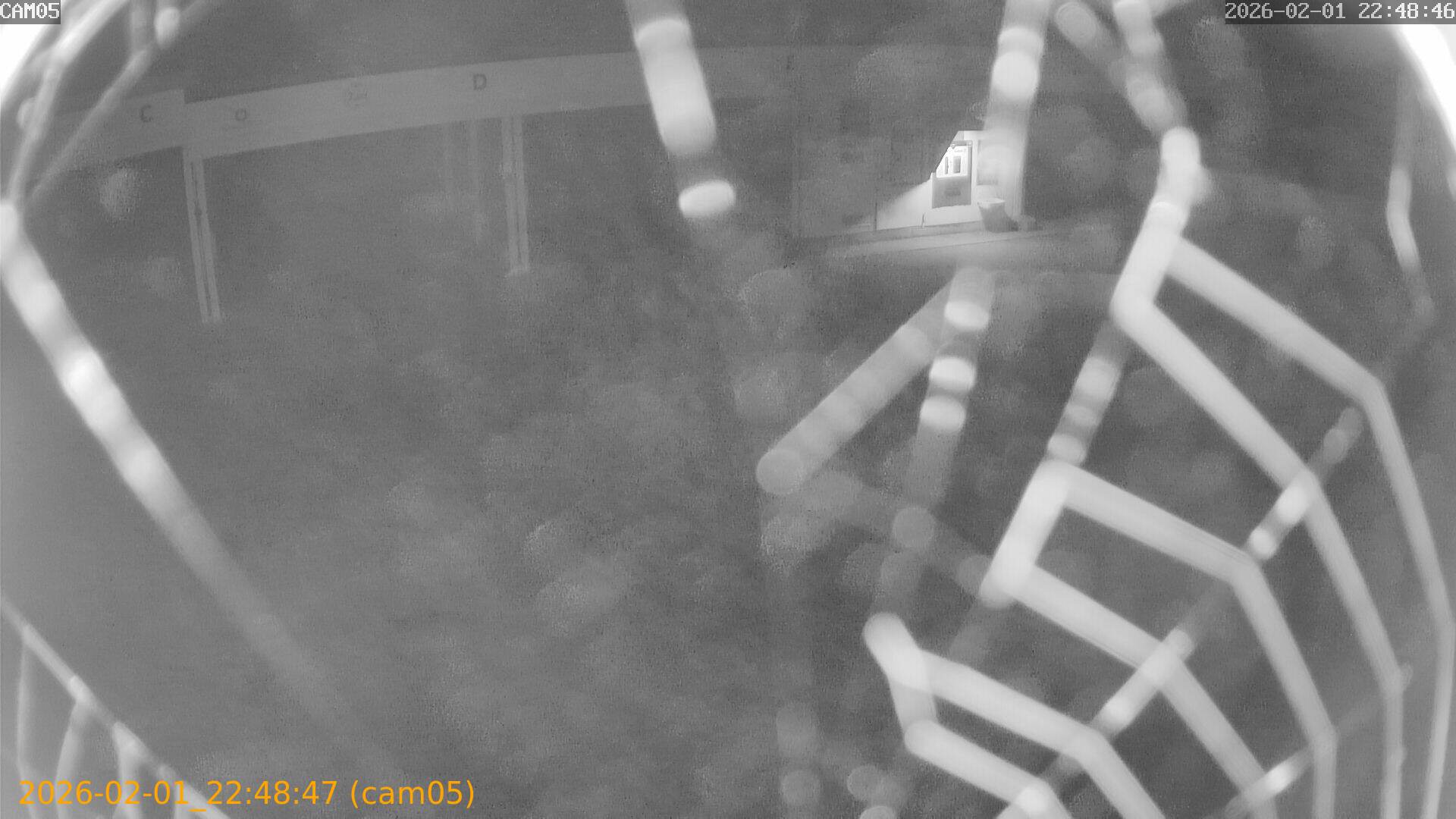 thumbnail_20260201224847