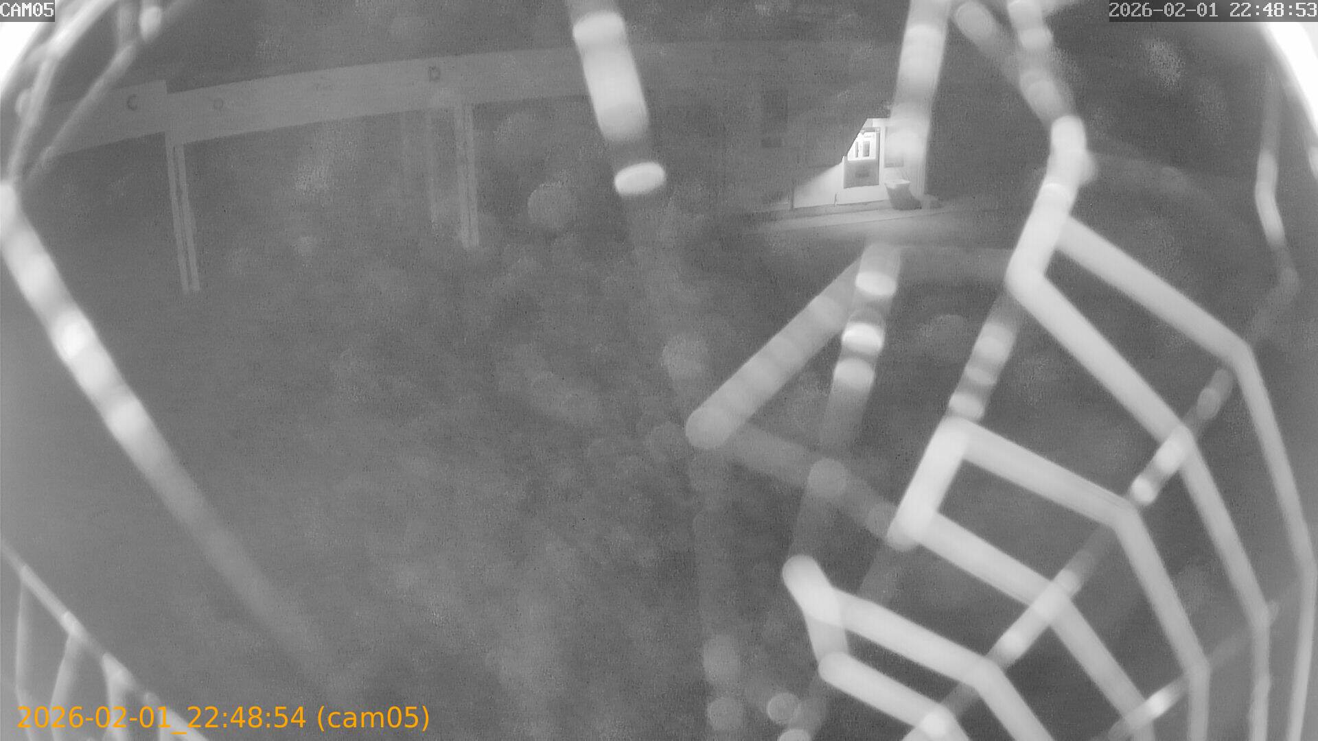 thumbnail_20260201224854