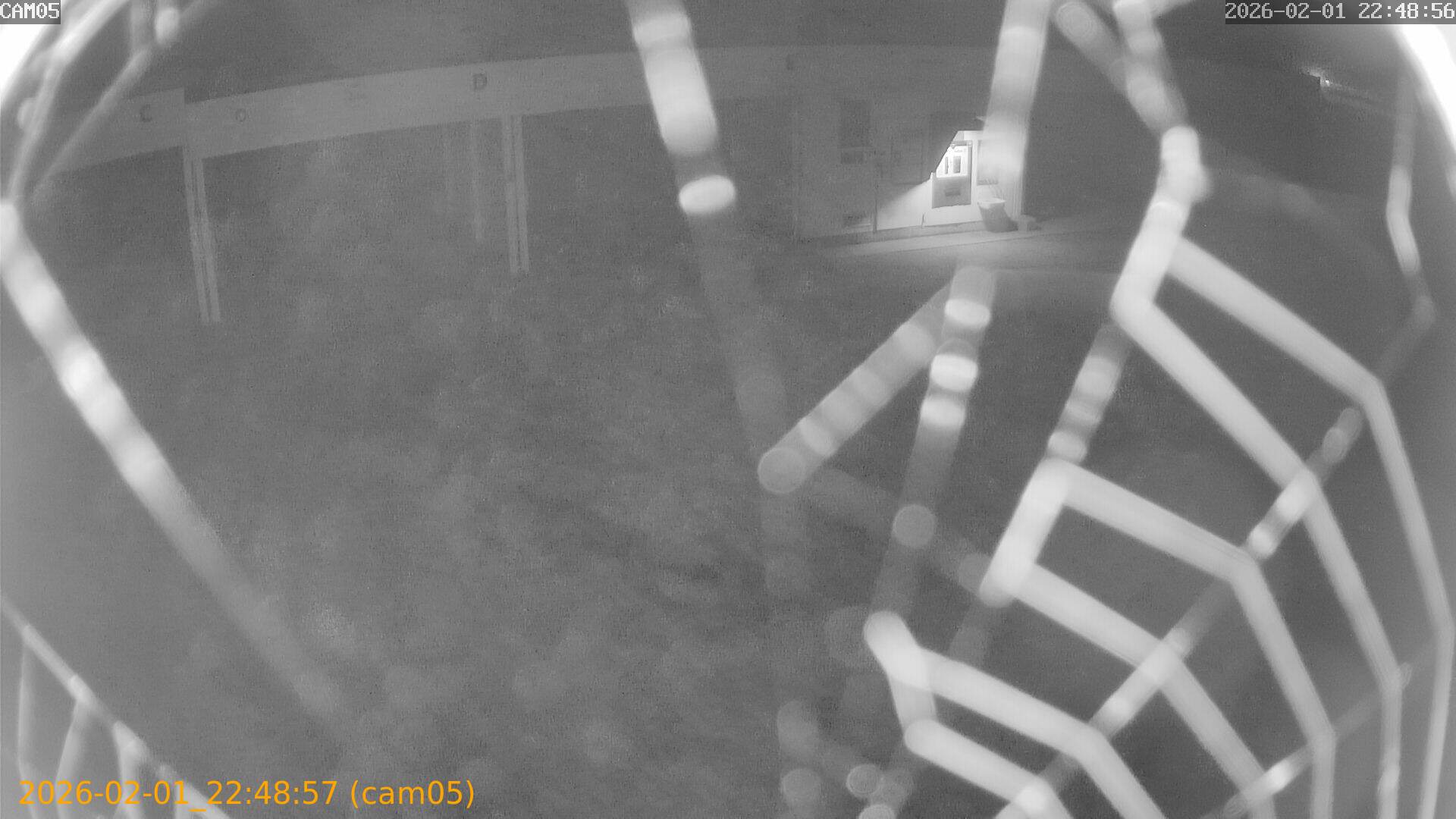 thumbnail_20260201224857