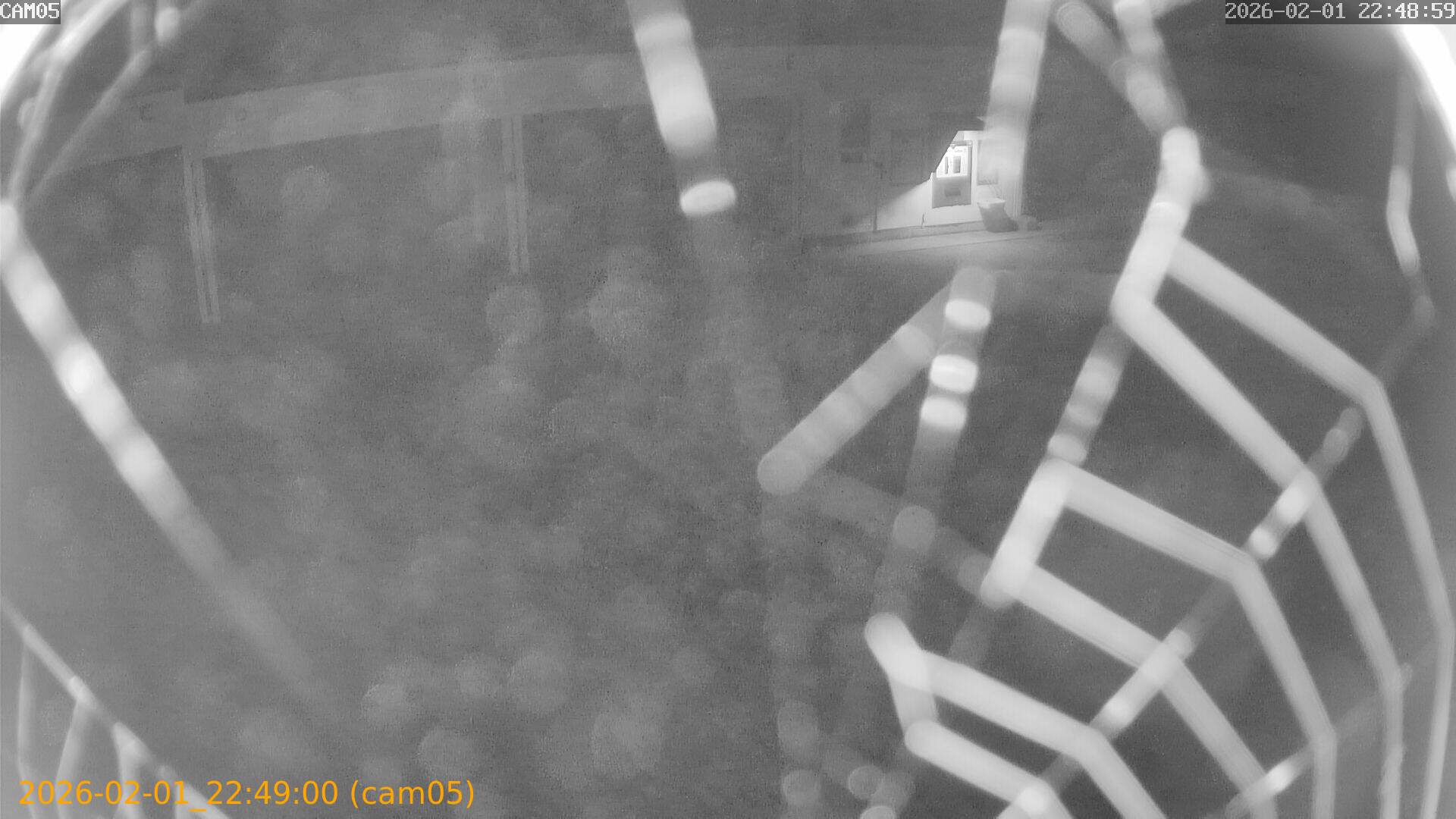 thumbnail_20260201224900