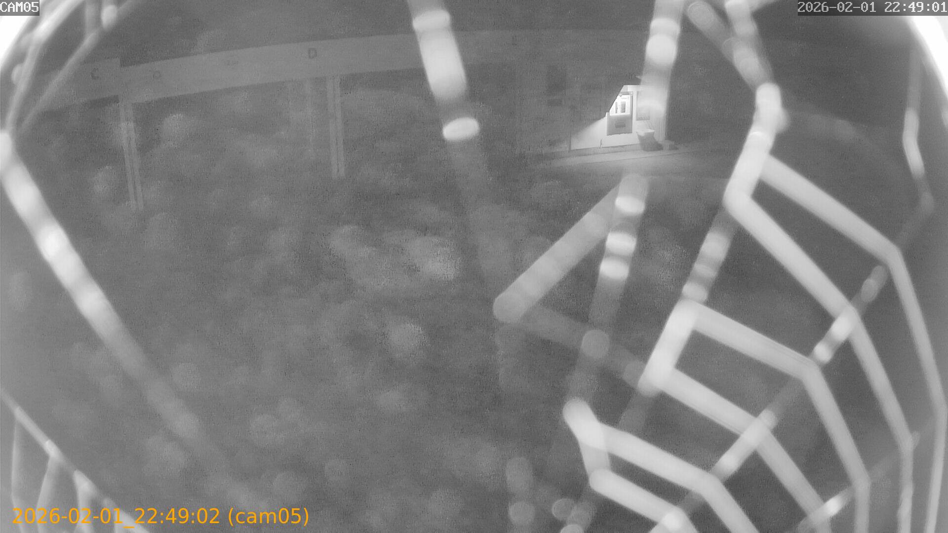 thumbnail_20260201224902