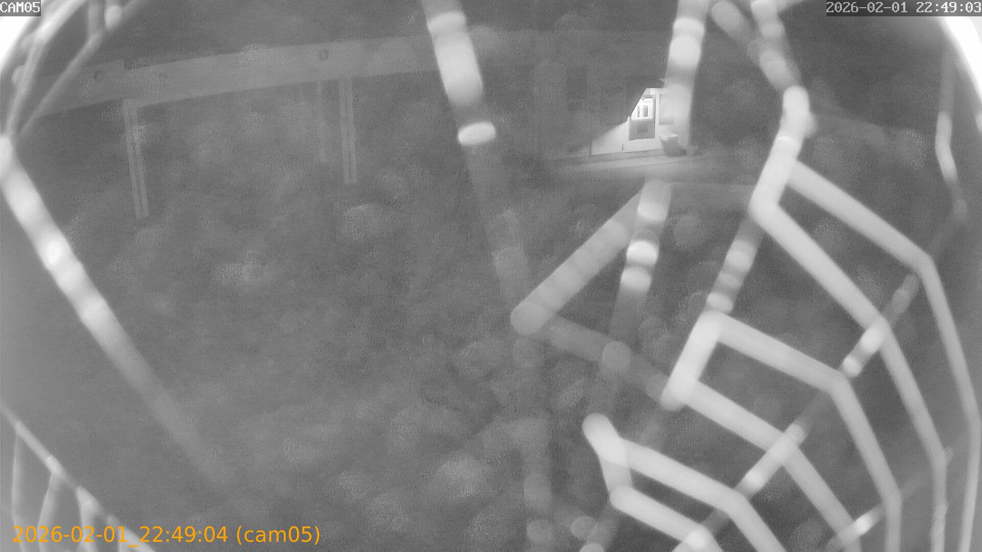 thumbnail_20260201224904