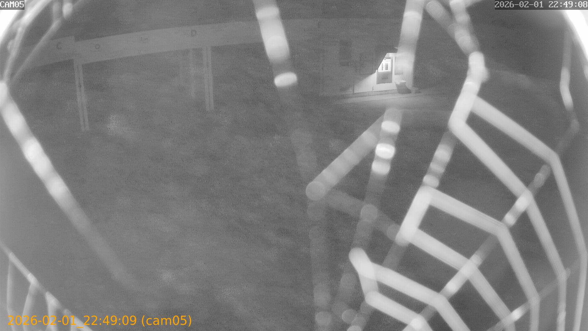 thumbnail_20260201224909