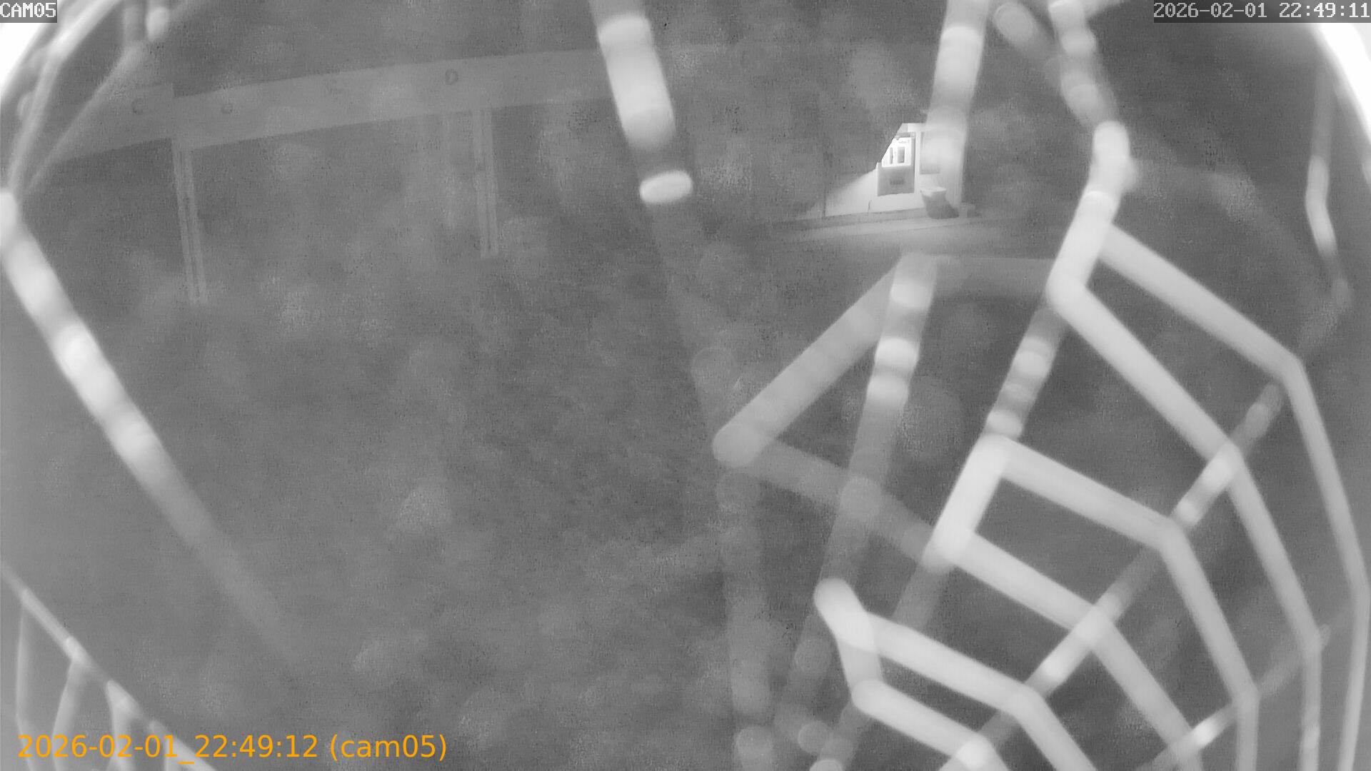 thumbnail_20260201224912