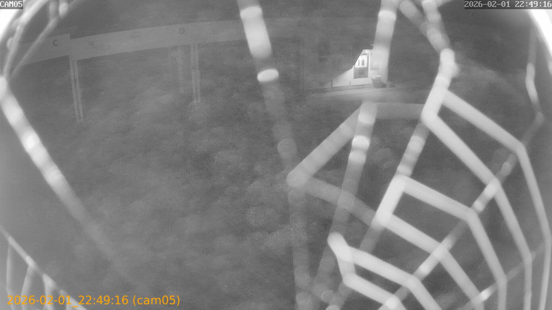 thumbnail_20260201224916