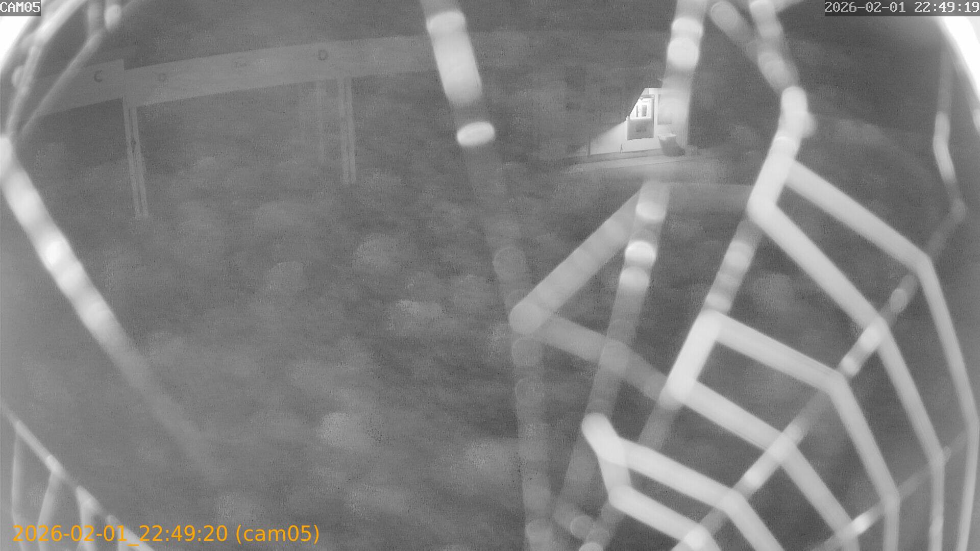 thumbnail_20260201224920