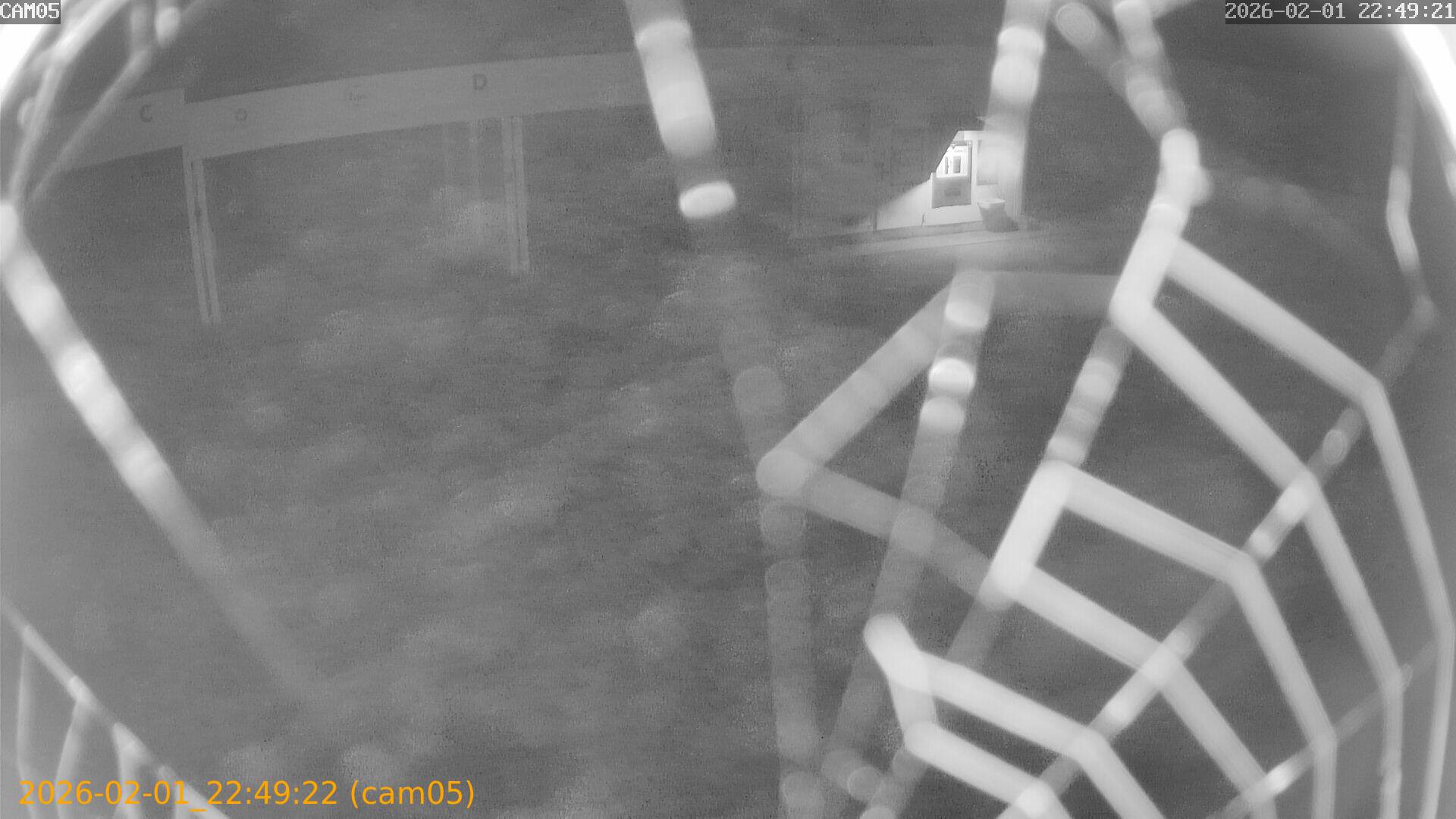 thumbnail_20260201224922