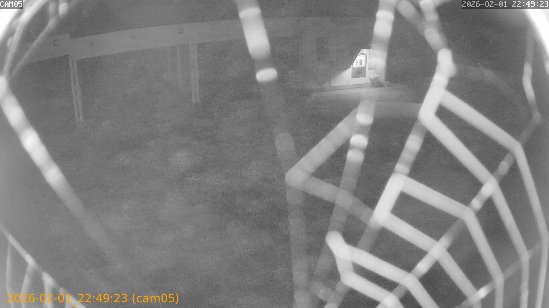 thumbnail_20260201224923