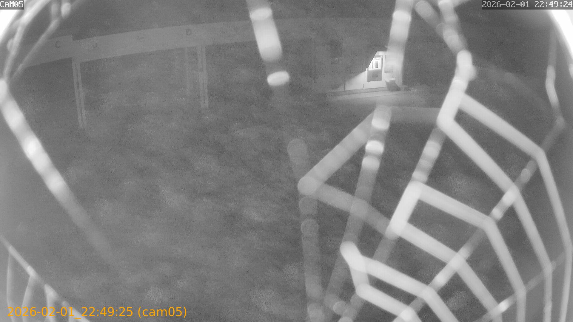 thumbnail_20260201224925