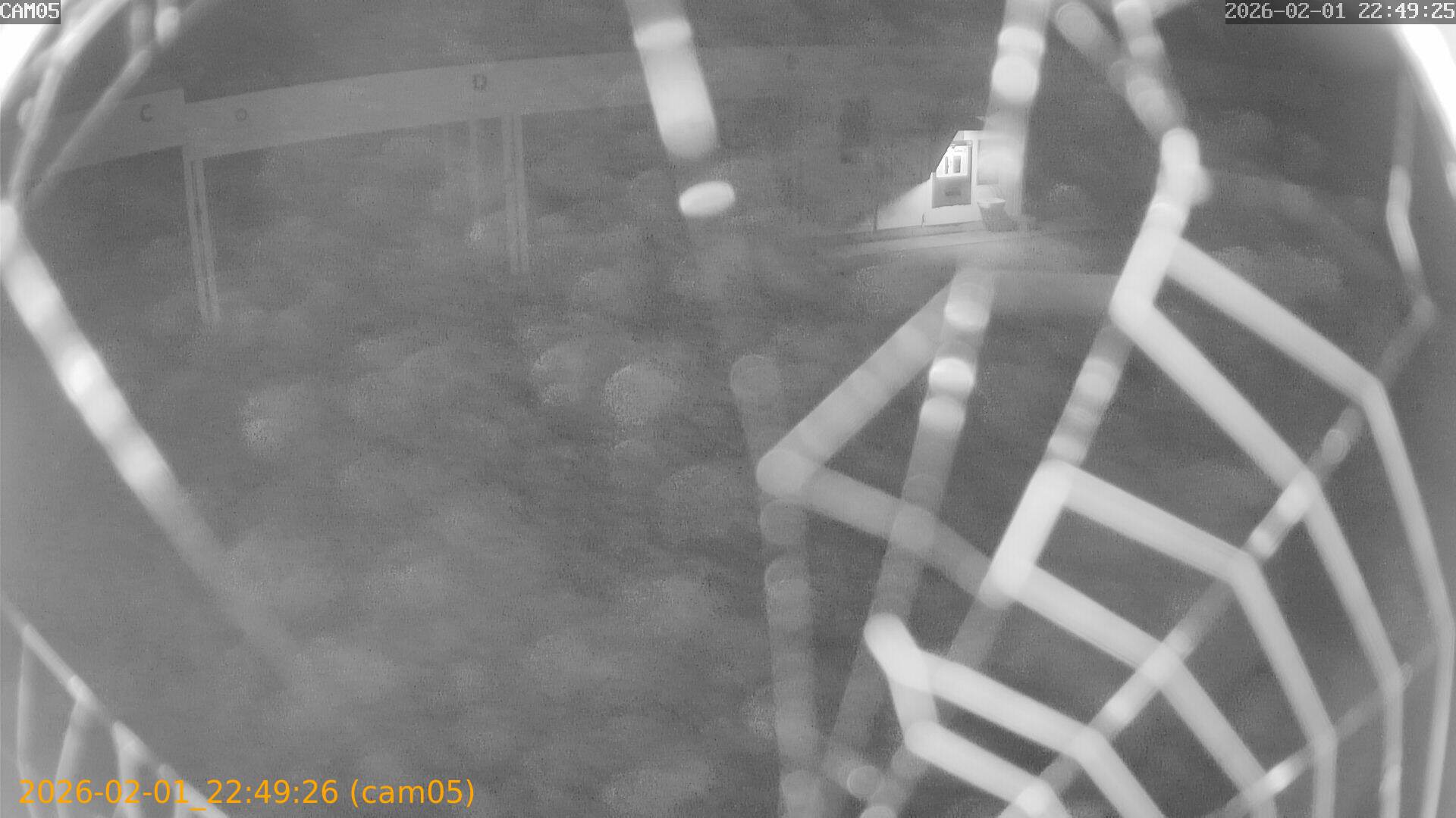 thumbnail_20260201224926