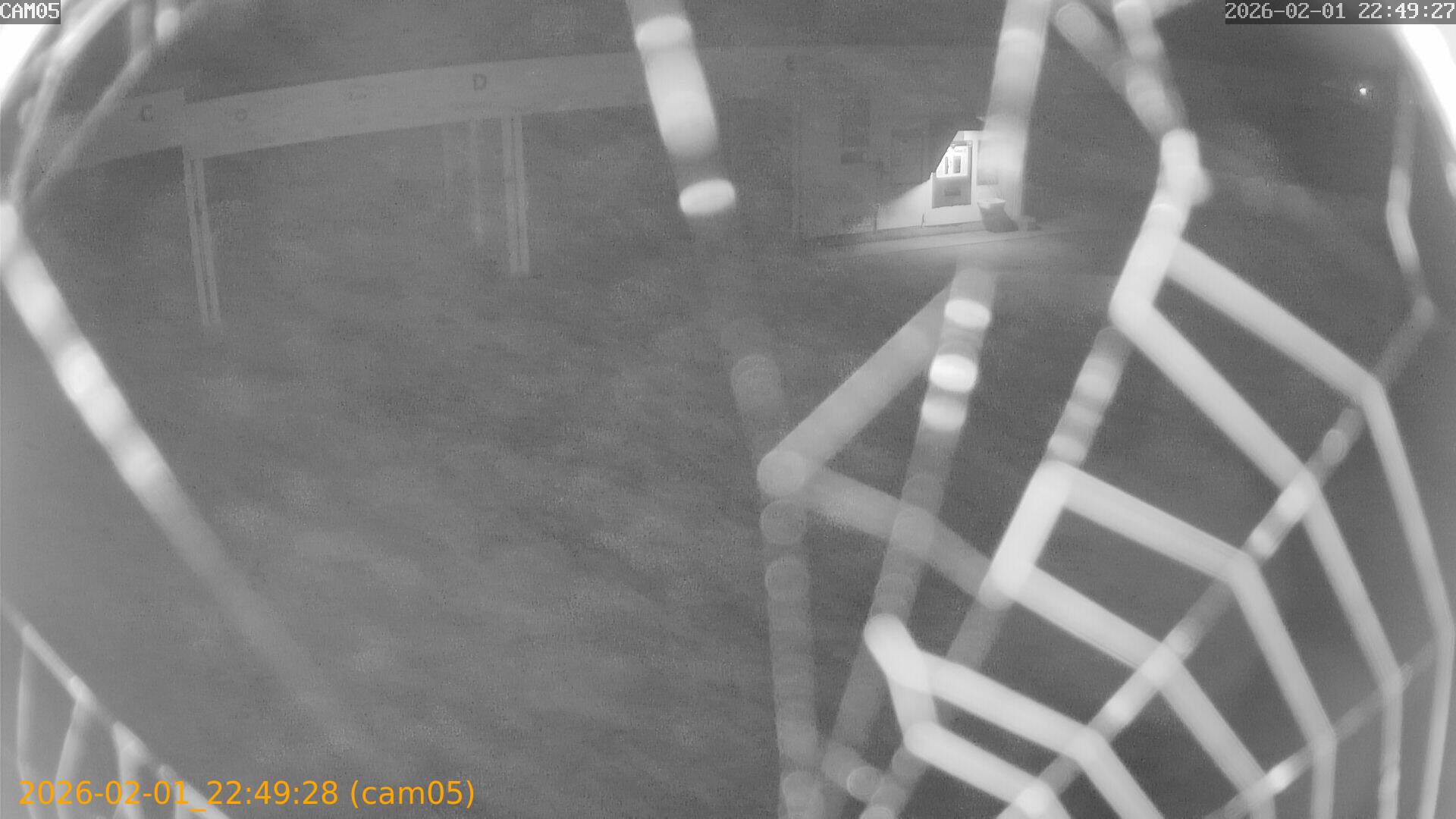 thumbnail_20260201224928