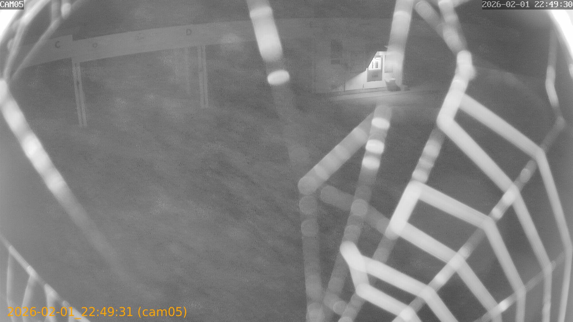 thumbnail_20260201224931