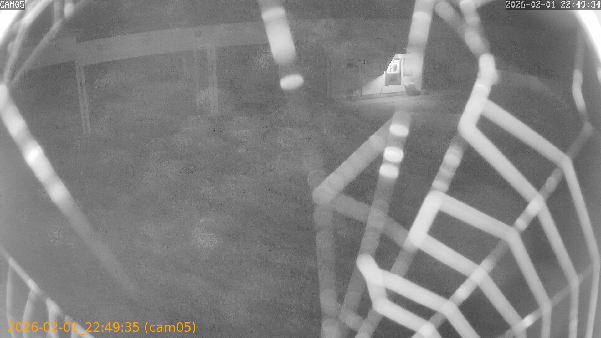 thumbnail_20260201224935