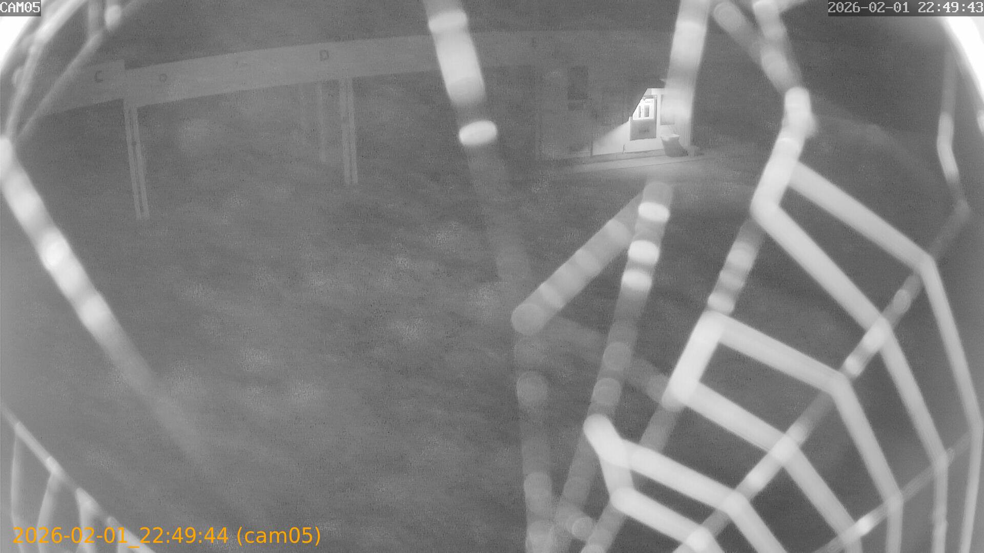 thumbnail_20260201224944