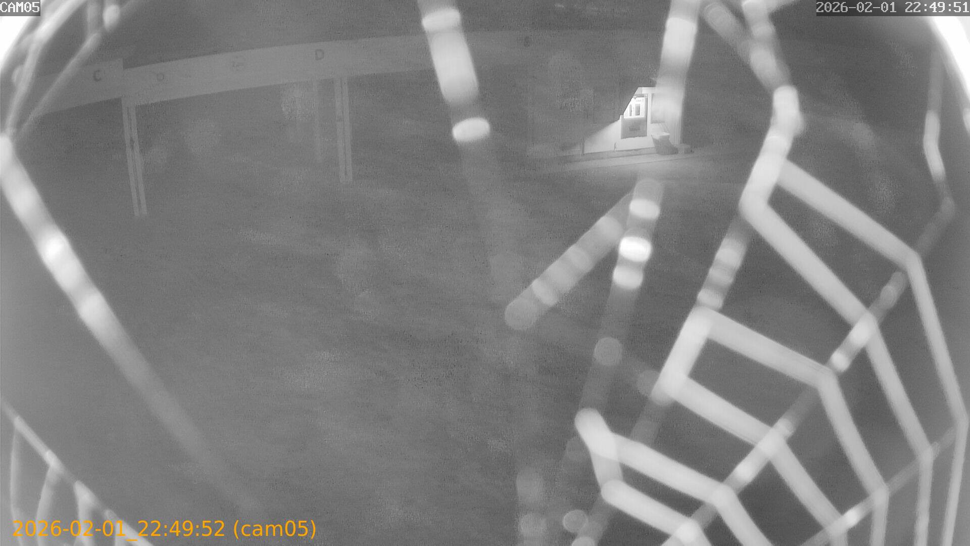 thumbnail_20260201224952