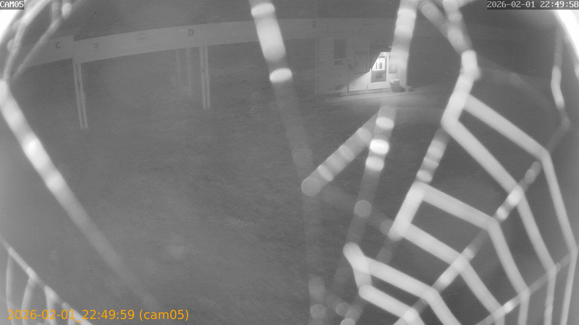 thumbnail_20260201224959